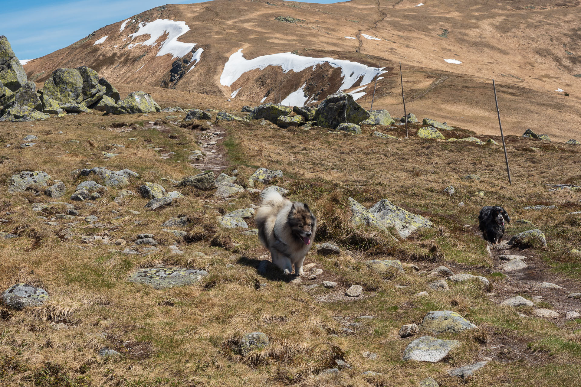 Chabenec z Magurky (Nízke Tatry)