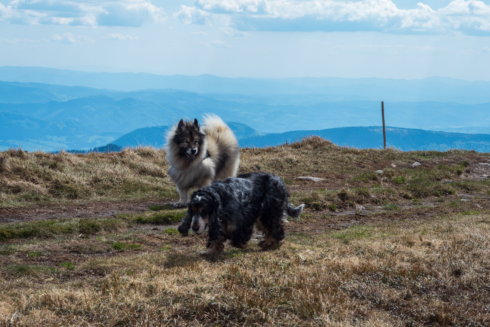 Chabenec z Magurky (Nízke Tatry)