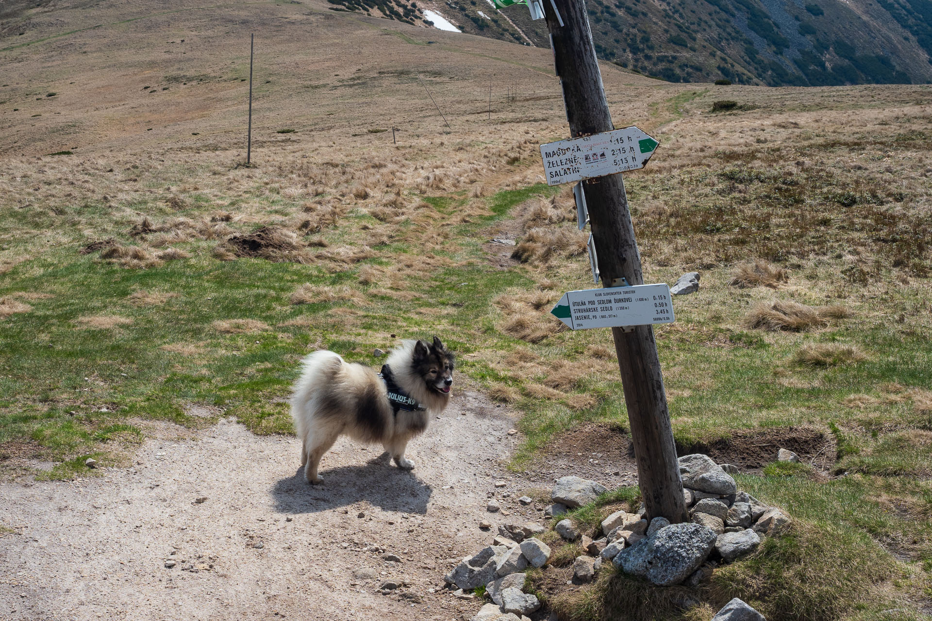 Chabenec z Magurky (Nízke Tatry)