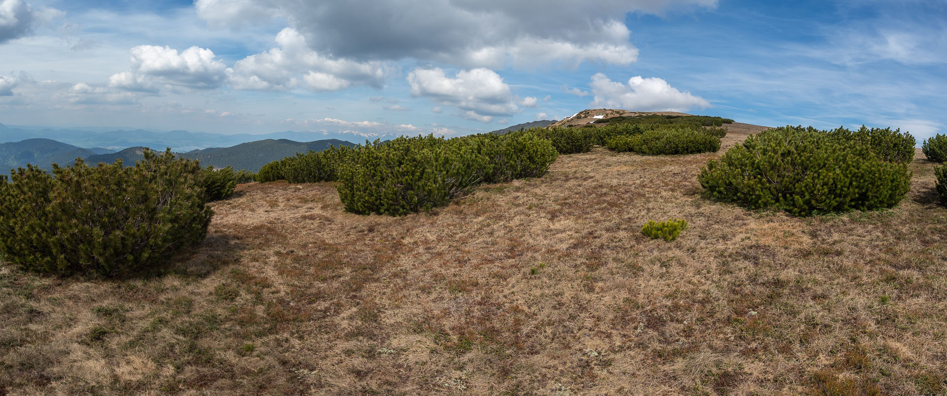 Chabenec z Magurky (Nízke Tatry)