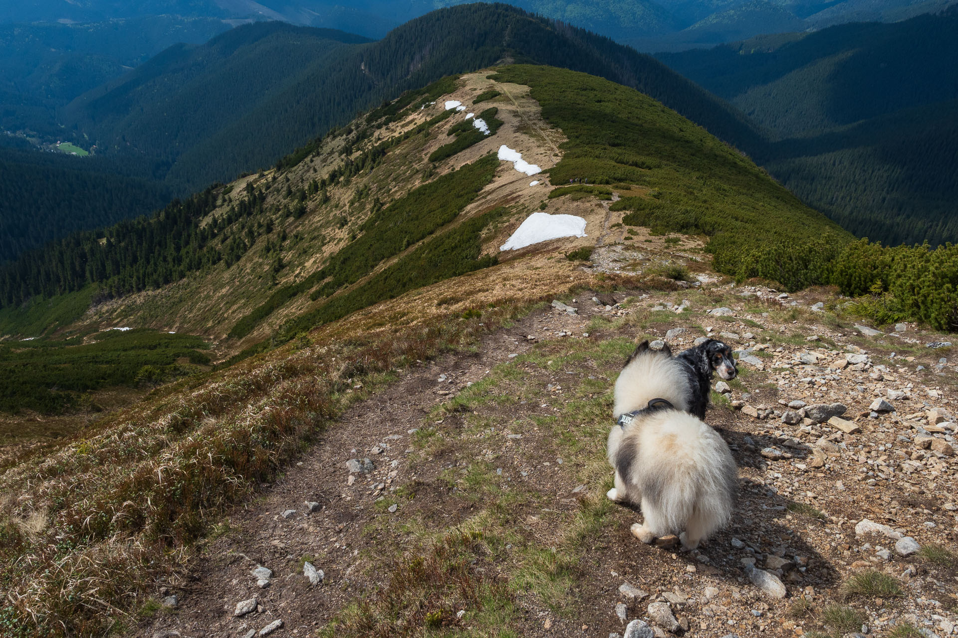 Chabenec z Magurky (Nízke Tatry)