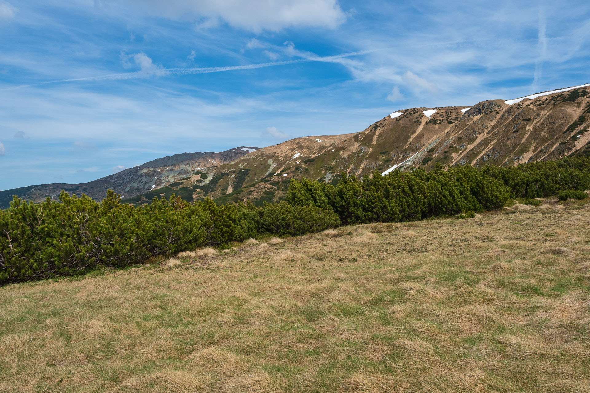 Chabenec z Magurky (Nízke Tatry)