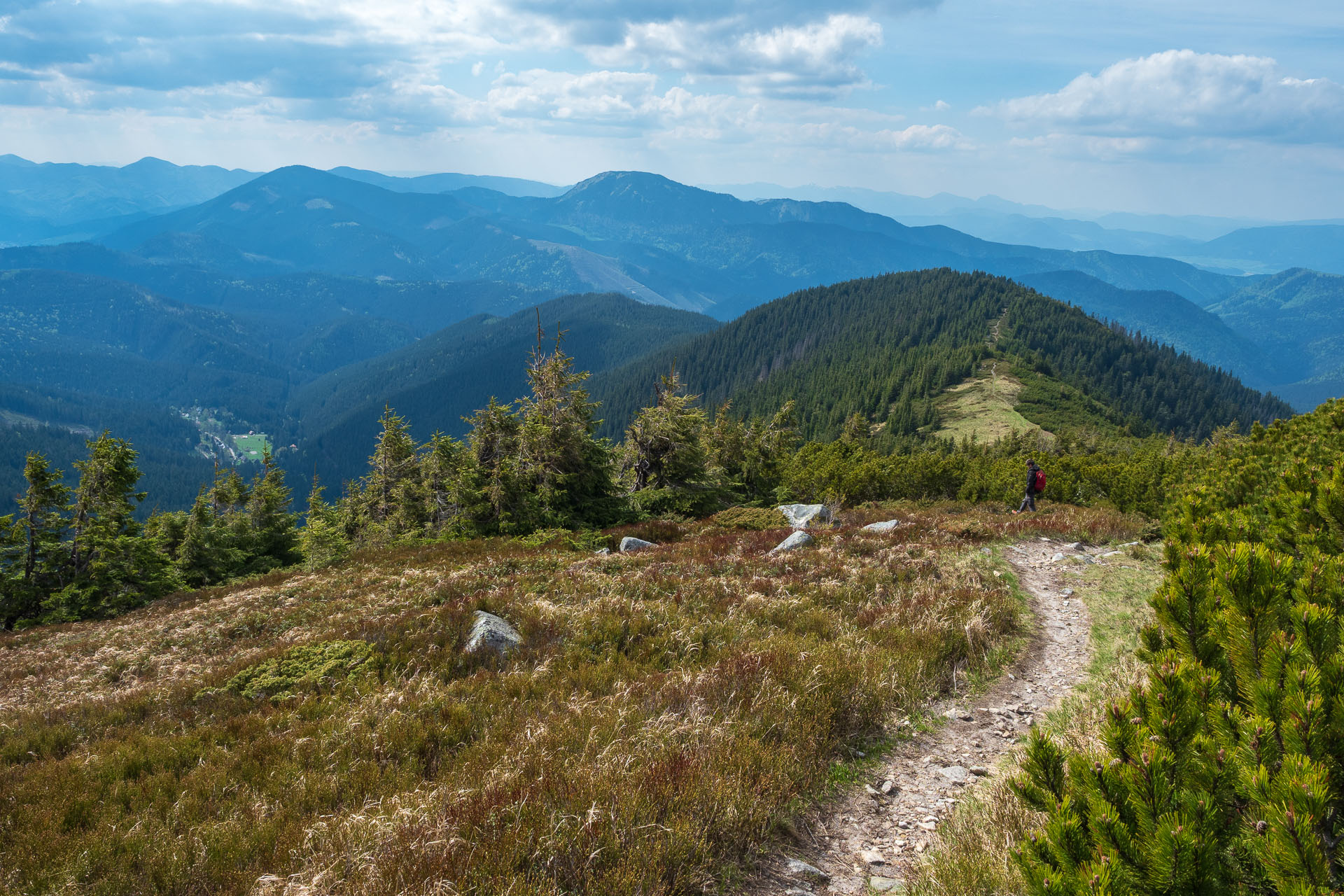 Chabenec z Magurky (Nízke Tatry)