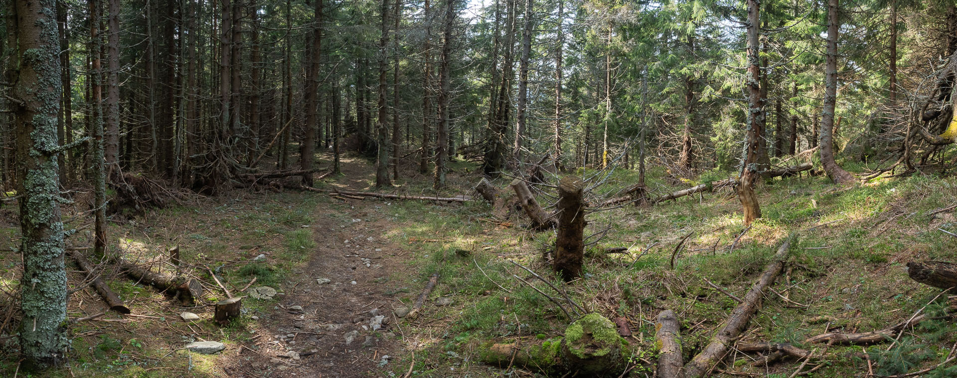 Chabenec z Magurky (Nízke Tatry)