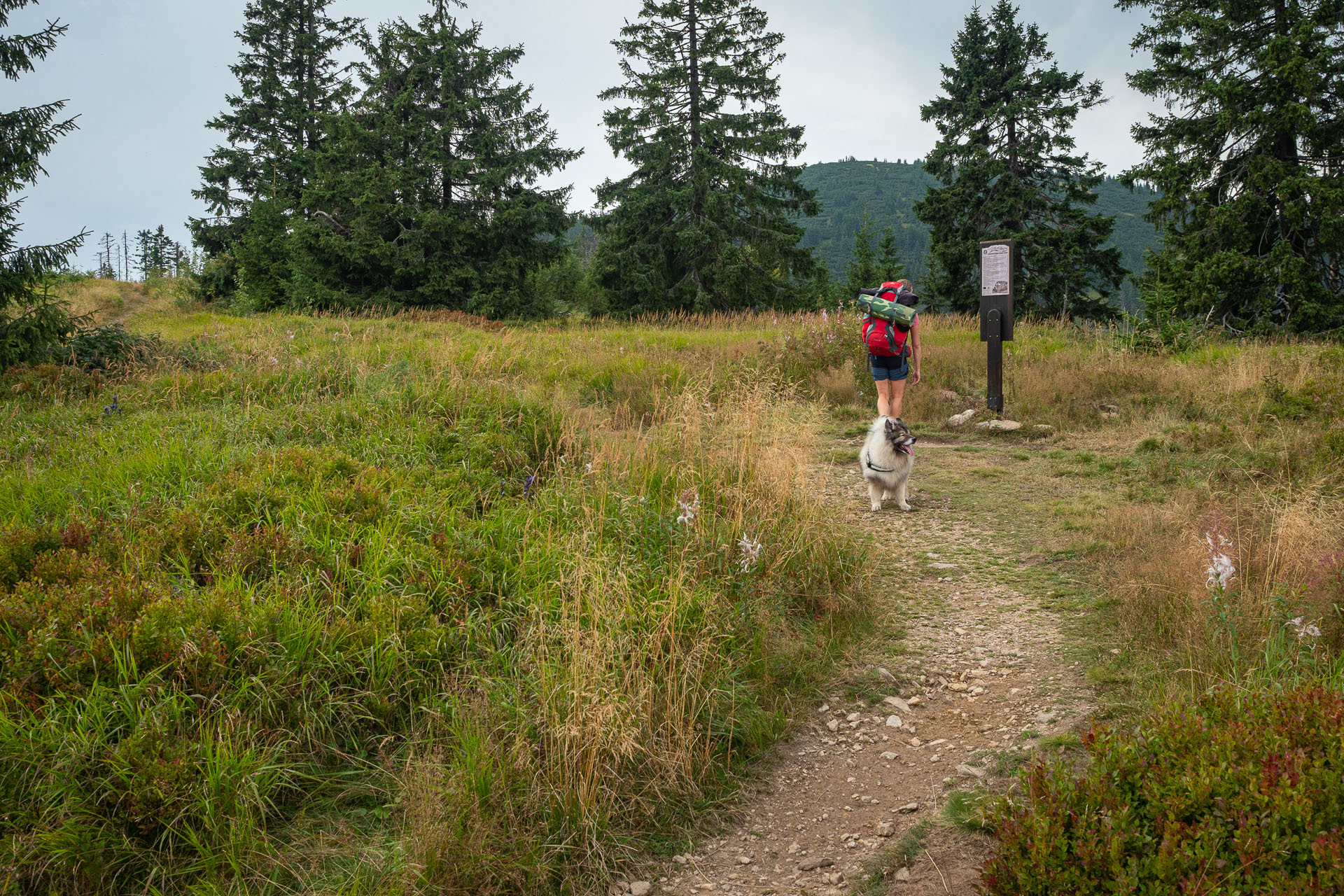 Chata M. R. Štefánika z Čertovice (Nízke Tatry)