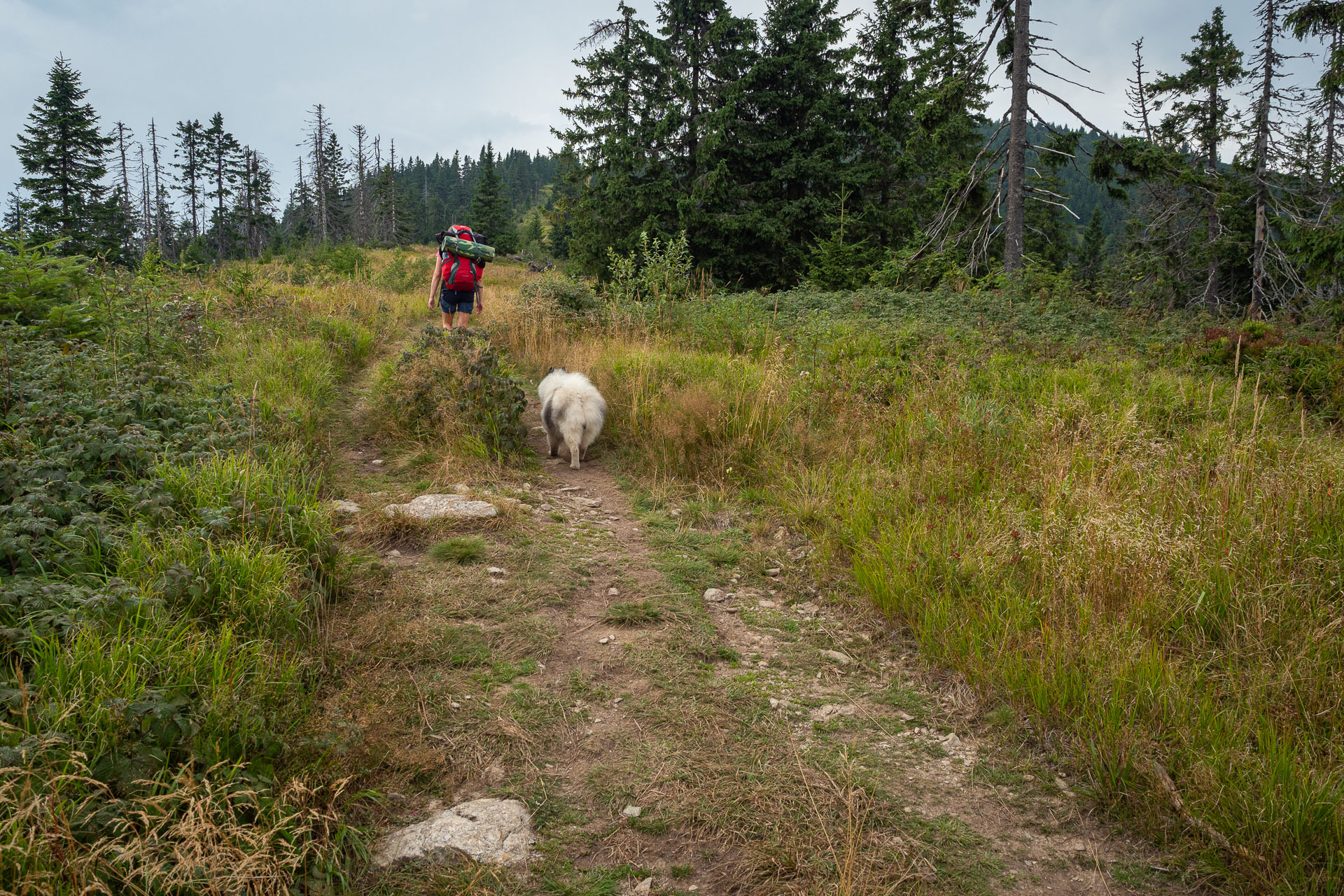 Chata M. R. Štefánika z Čertovice (Nízke Tatry)