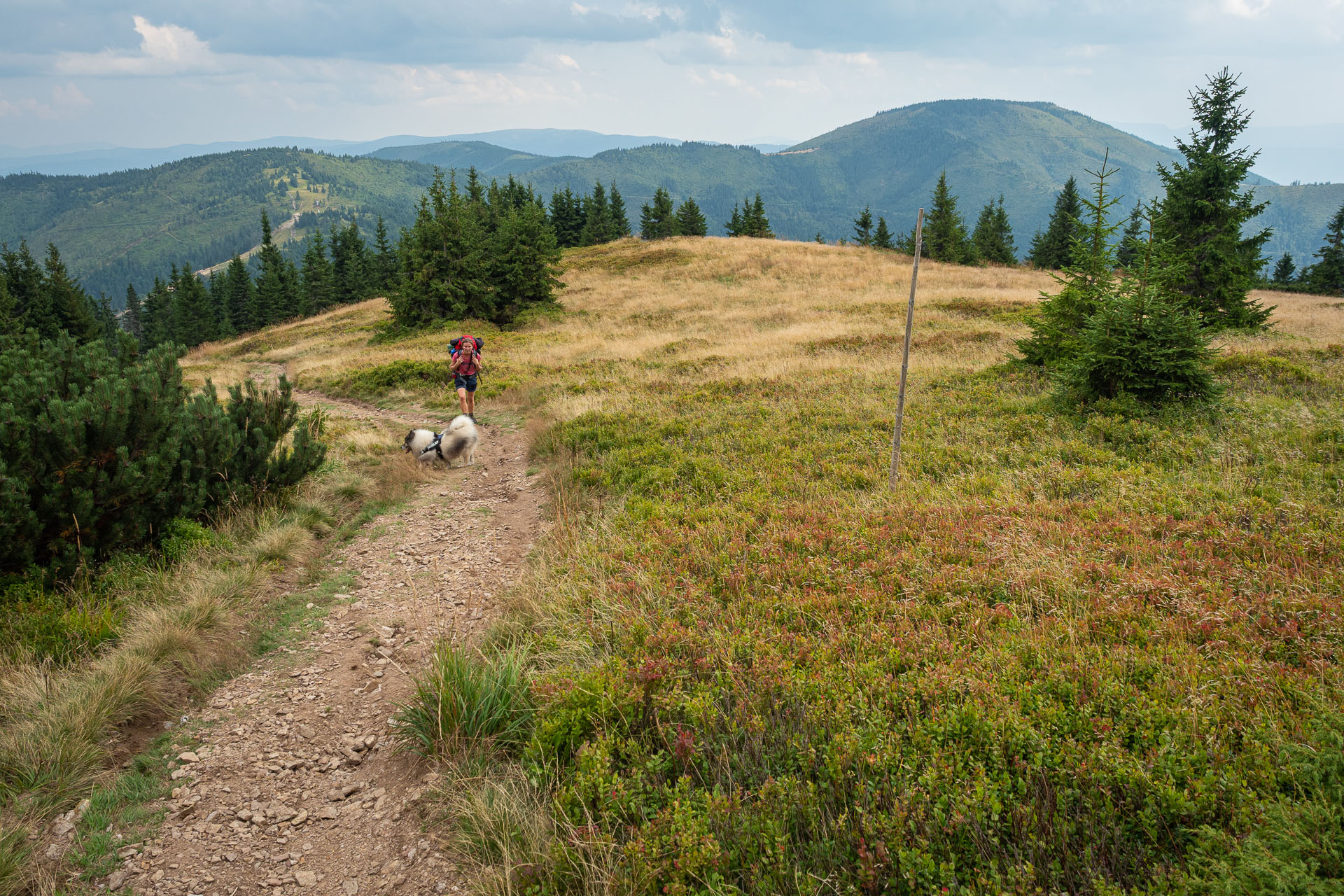 Chata M. R. Štefánika z Čertovice (Nízke Tatry)