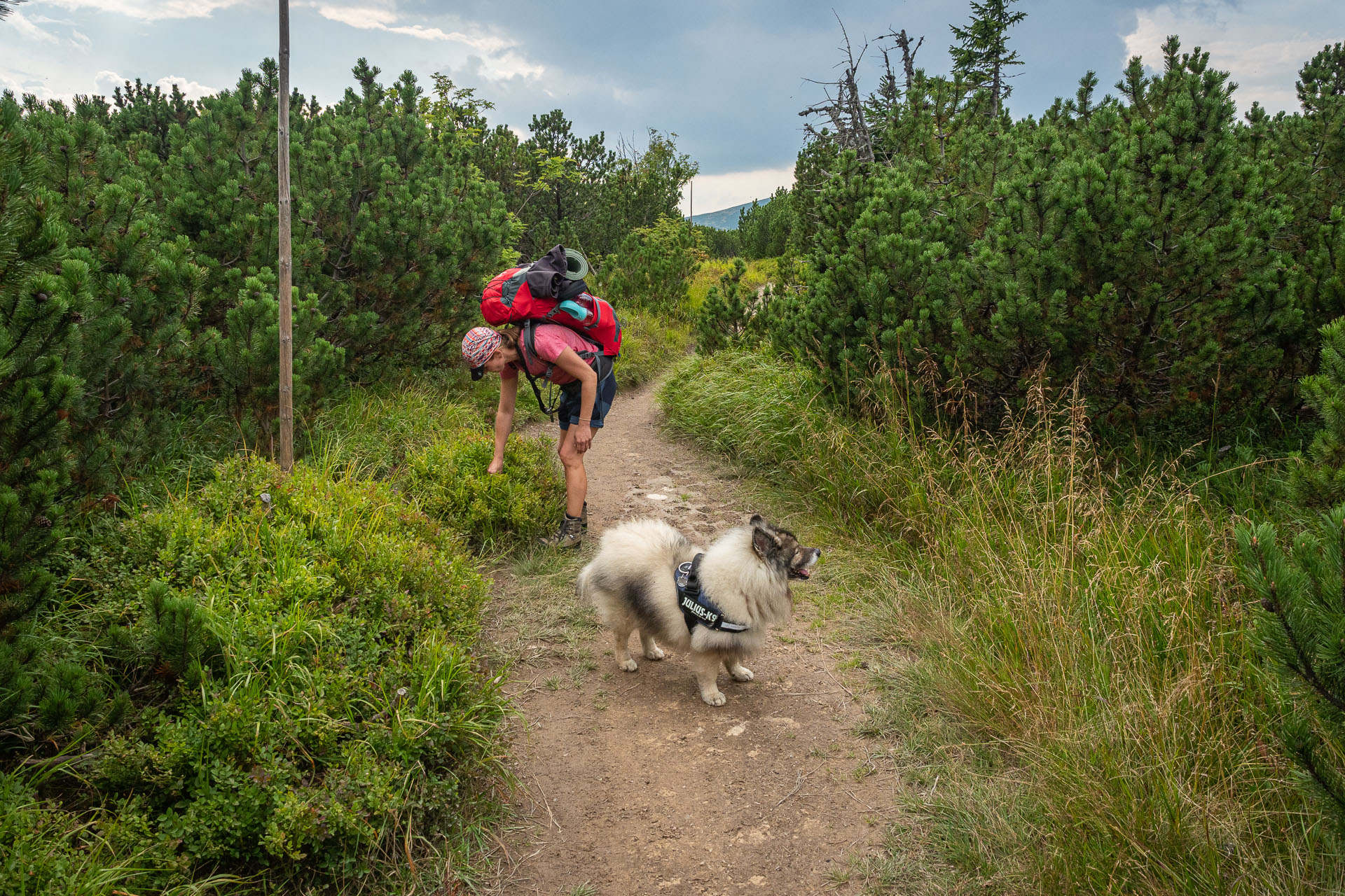 Chata M. R. Štefánika z Čertovice (Nízke Tatry)