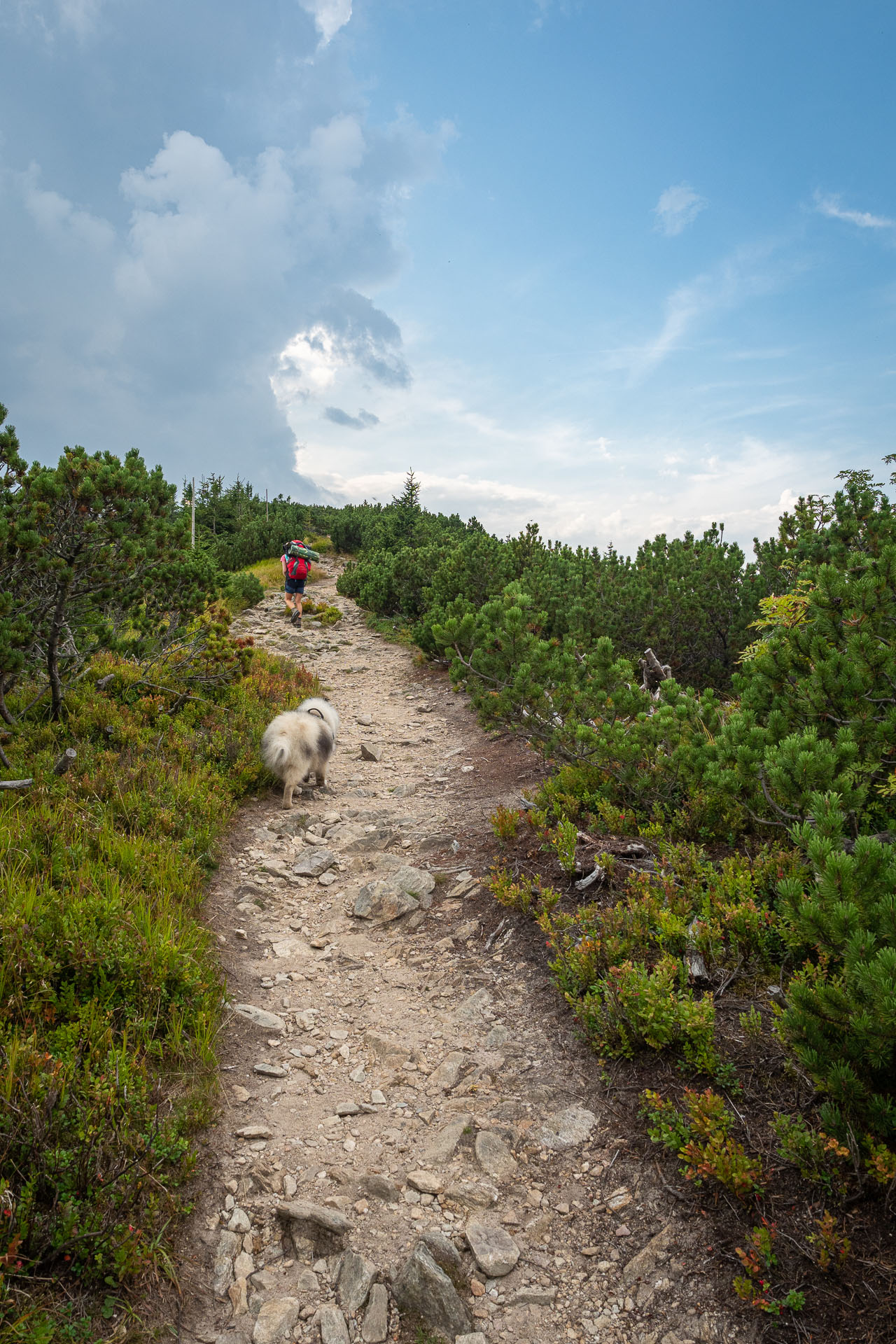 Chata M. R. Štefánika z Čertovice (Nízke Tatry)