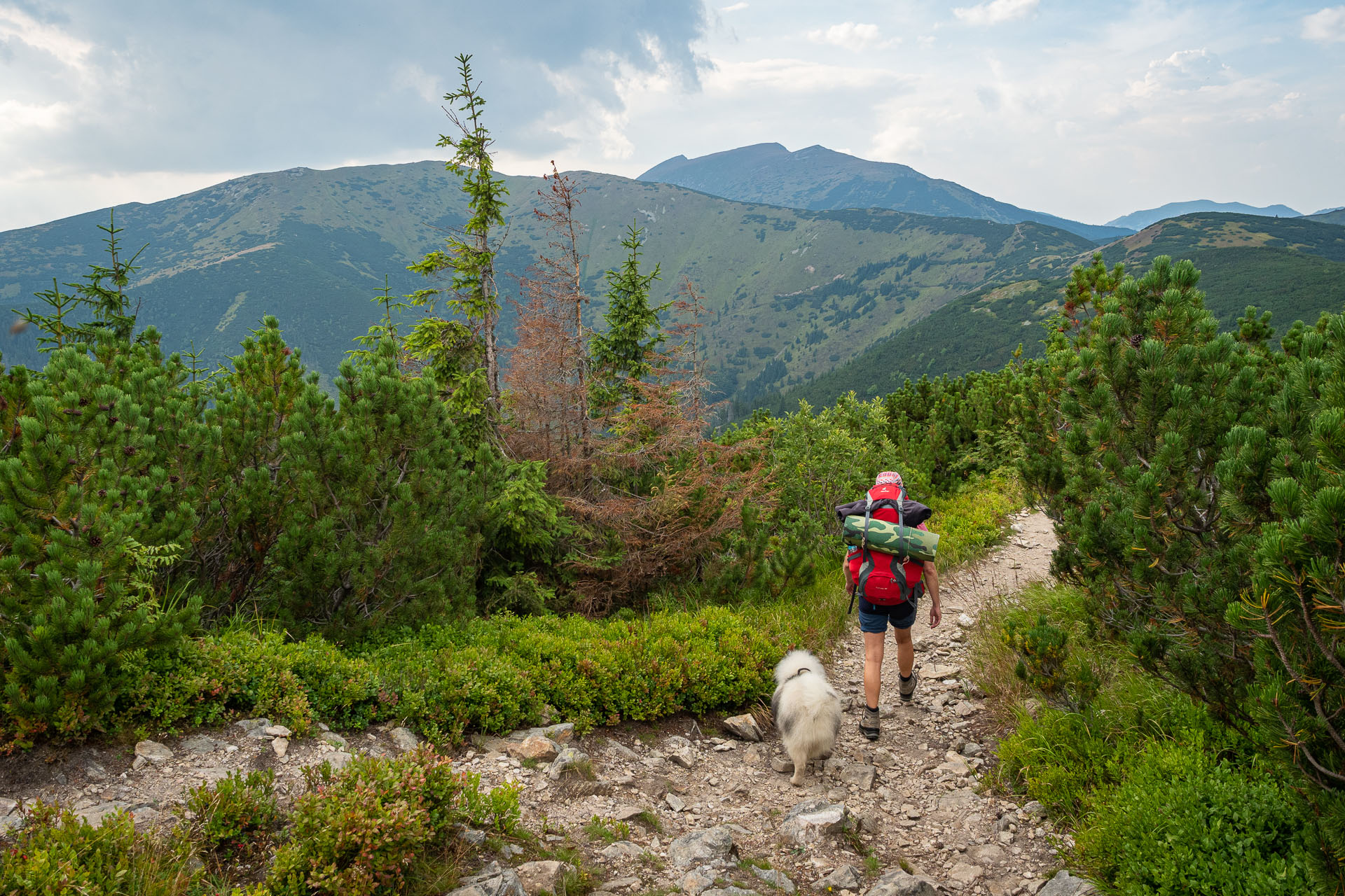 Chata M. R. Štefánika z Čertovice (Nízke Tatry)