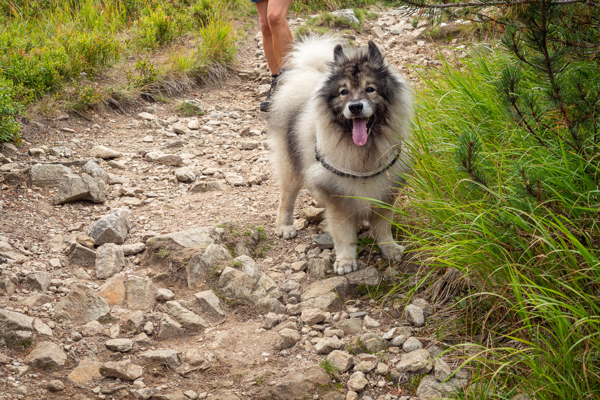 Chata M. R. Štefánika z Čertovice (Nízke Tatry)