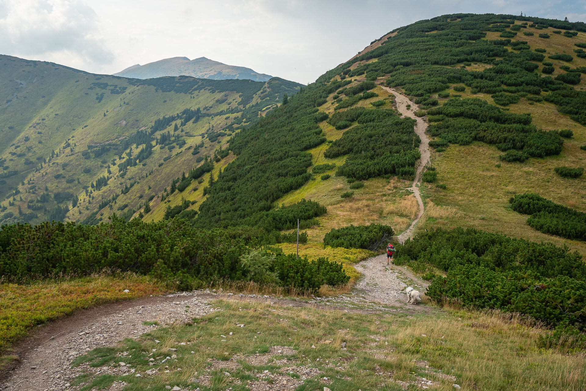 Chata M. R. Štefánika z Čertovice (Nízke Tatry)