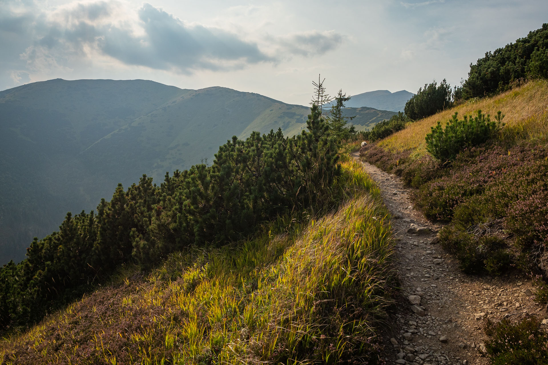 Chata M. R. Štefánika z Čertovice (Nízke Tatry)