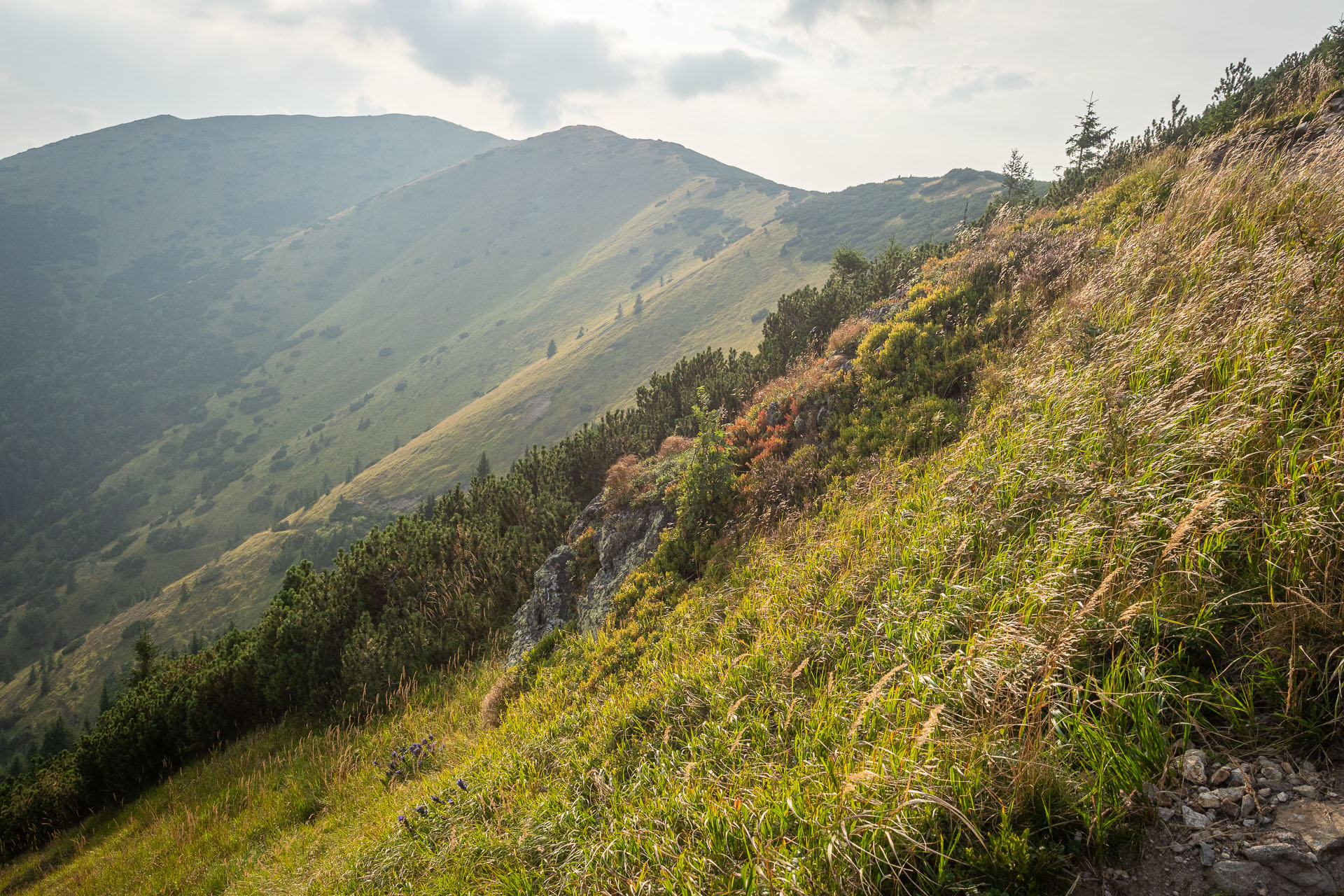 Chata M. R. Štefánika z Čertovice (Nízke Tatry)