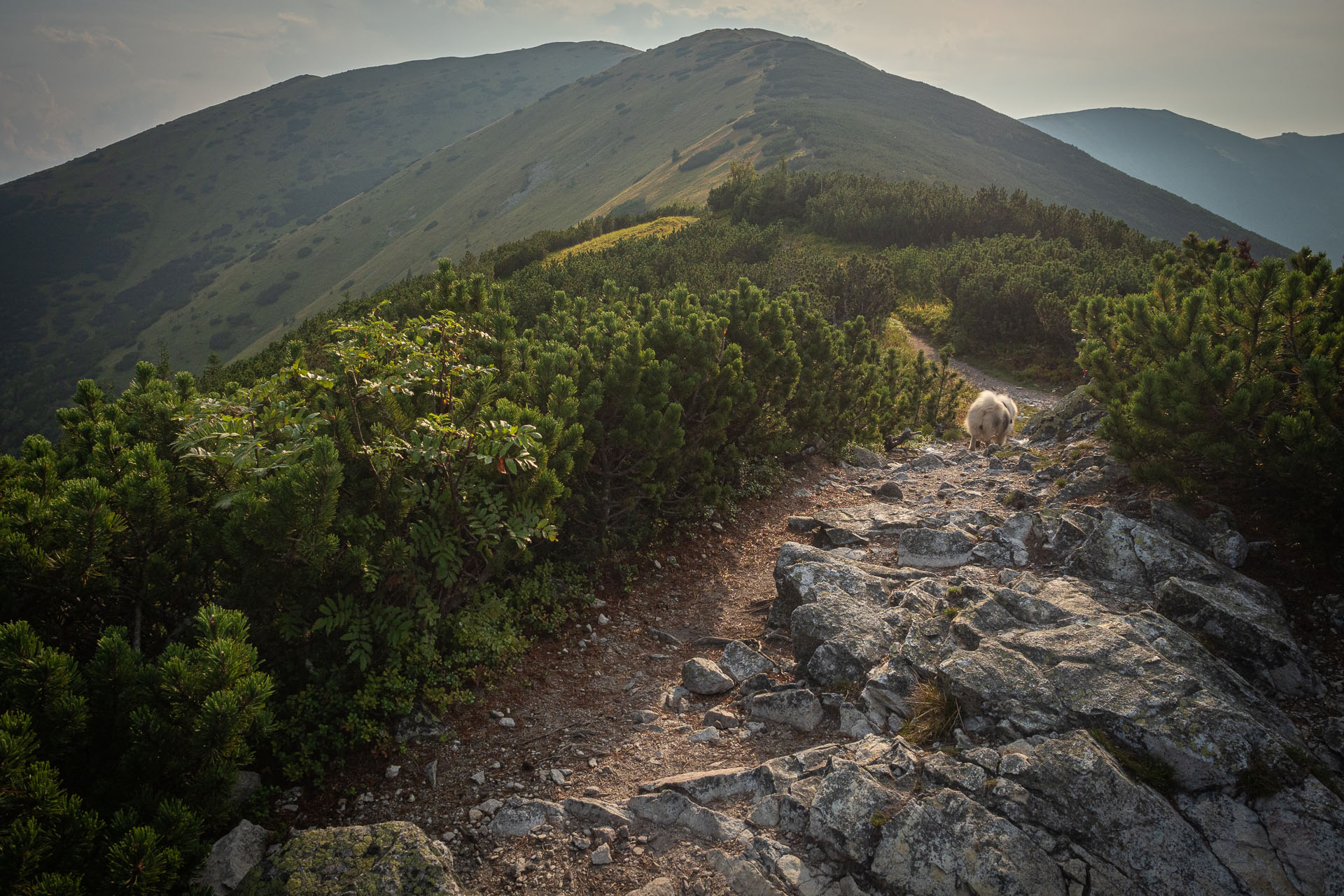 Chata M. R. Štefánika z Čertovice (Nízke Tatry)