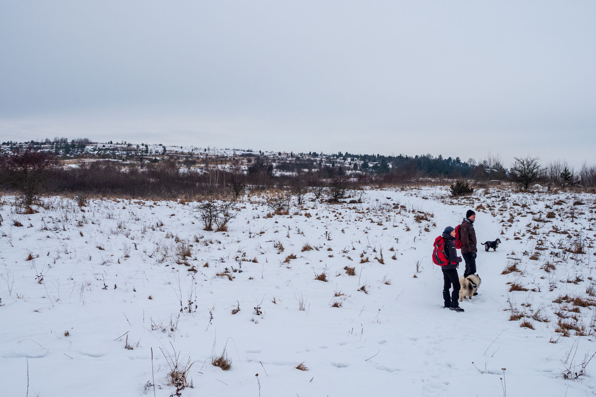 Dreveník a Spišský hrad zo Žehry (Levočské vrchy)