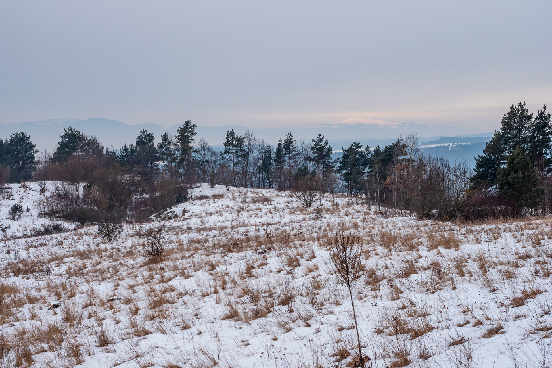 Dreveník a Spišský hrad zo Žehry (Levočské vrchy)