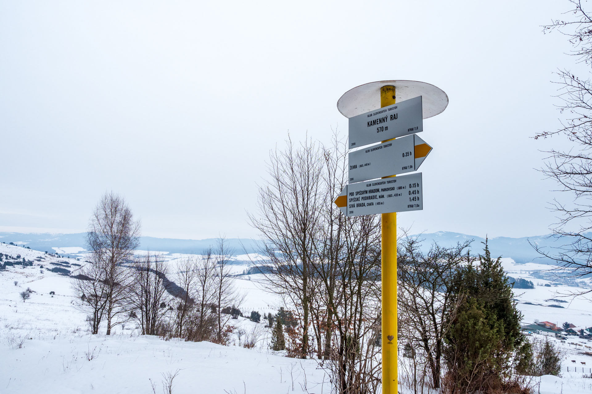 Dreveník a Spišský hrad zo Žehry (Levočské vrchy)