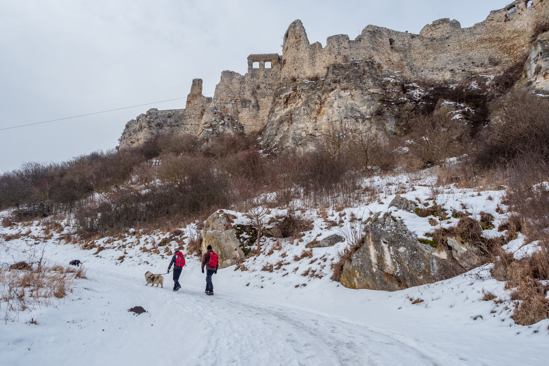 Dreveník a Spišský hrad zo Žehry (Levočské vrchy)