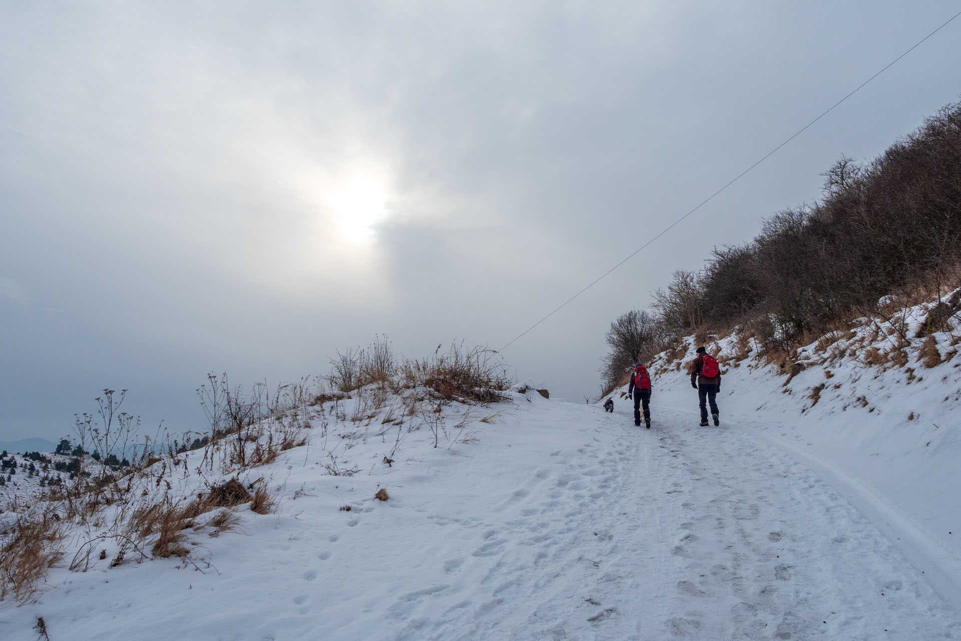 Dreveník a Spišský hrad zo Žehry (Levočské vrchy)