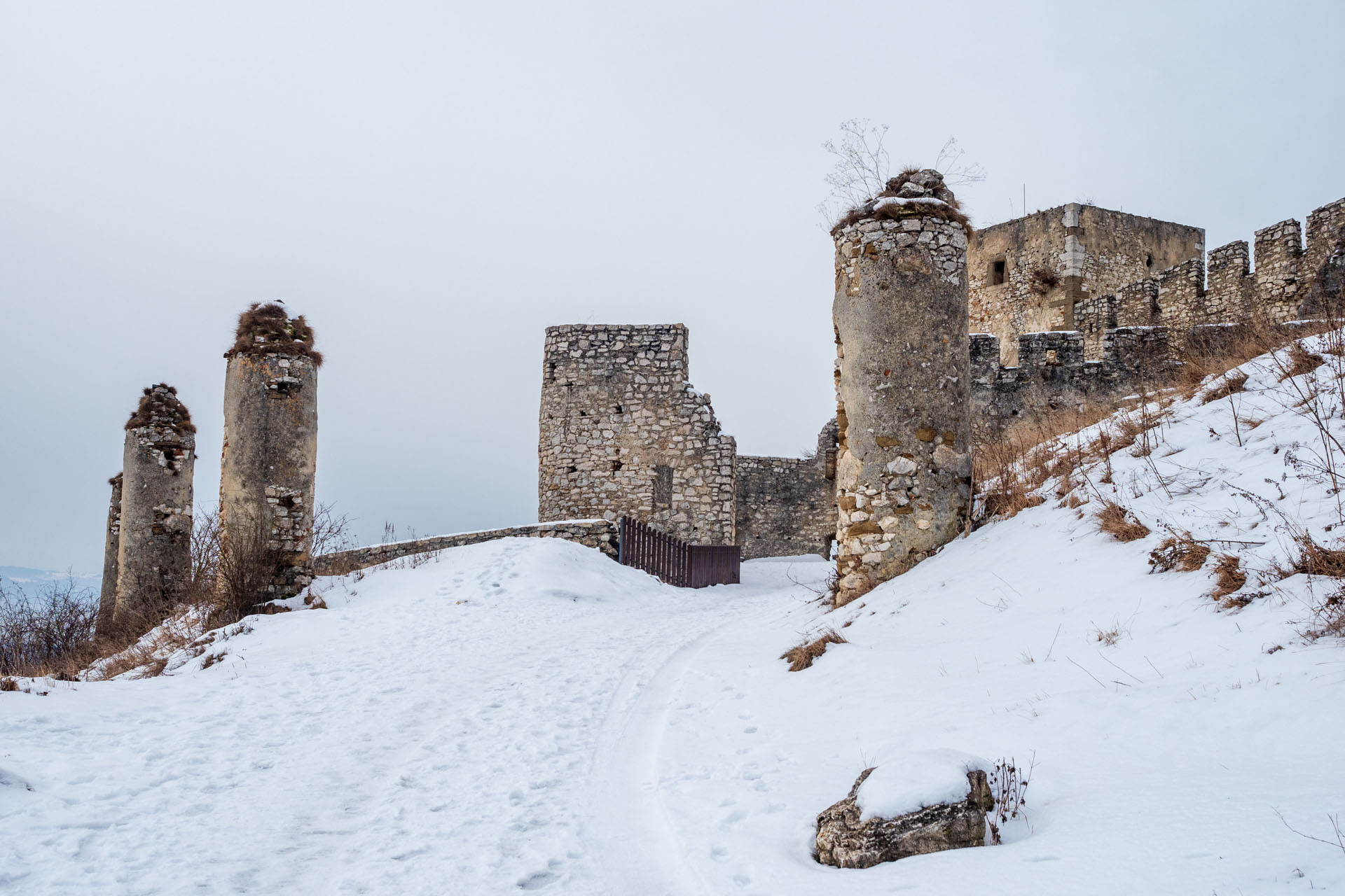 Dreveník a Spišský hrad zo Žehry (Levočské vrchy)