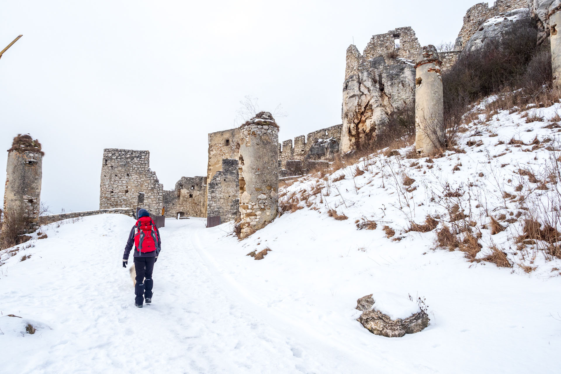 Dreveník a Spišský hrad zo Žehry (Levočské vrchy)