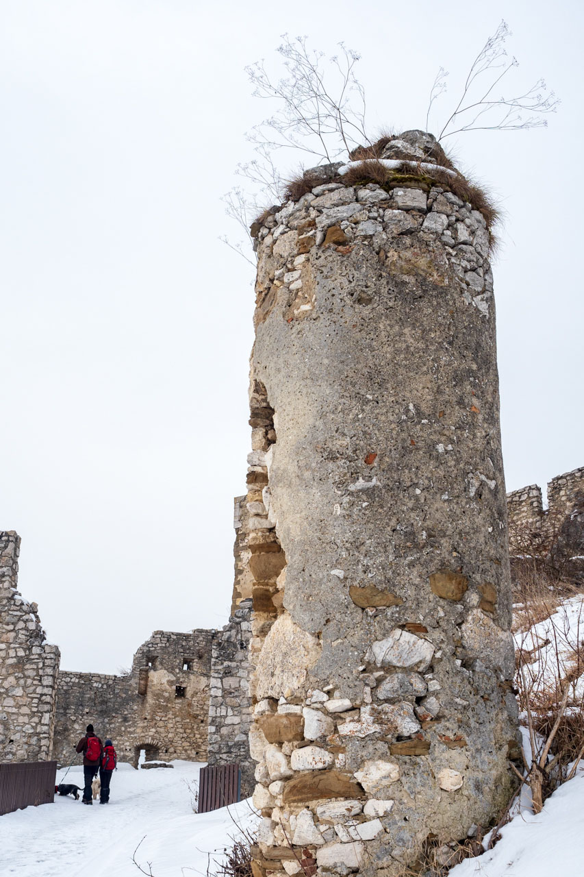 Dreveník a Spišský hrad zo Žehry (Levočské vrchy)