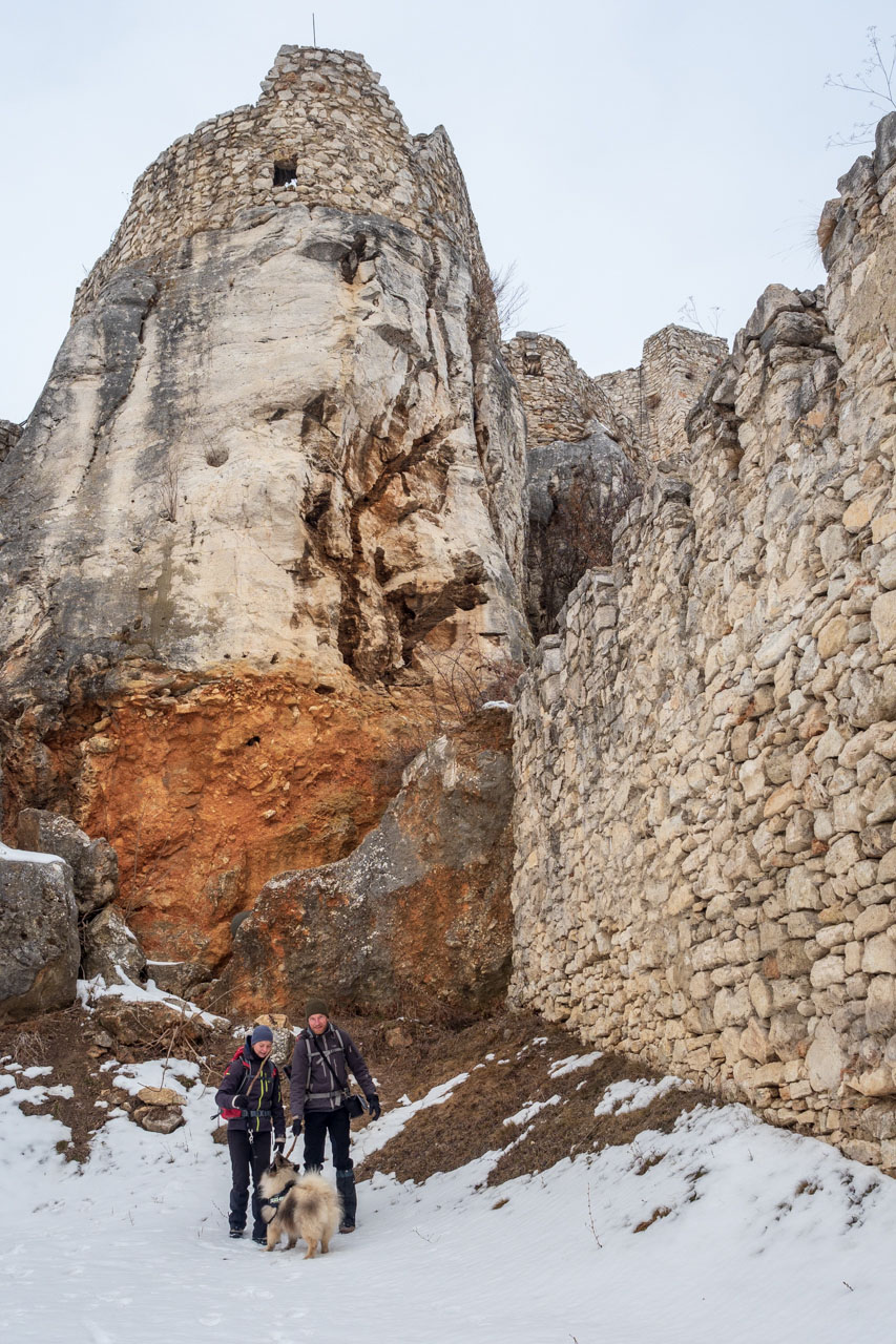 Dreveník a Spišský hrad zo Žehry (Levočské vrchy)