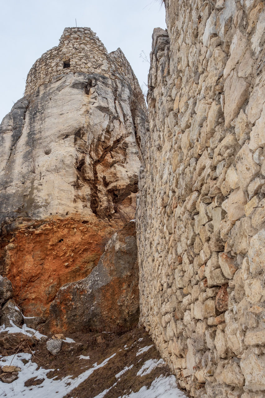 Dreveník a Spišský hrad zo Žehry (Levočské vrchy)