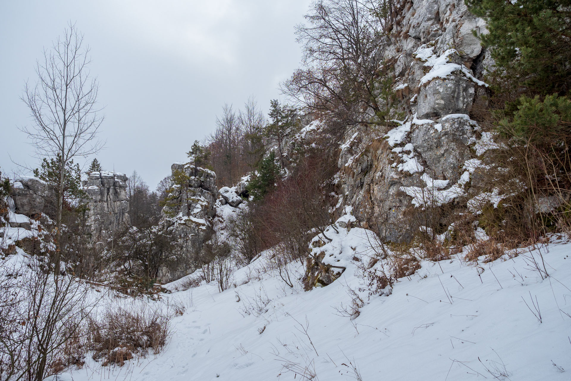 Dreveník a Spišský hrad zo Žehry (Levočské vrchy)