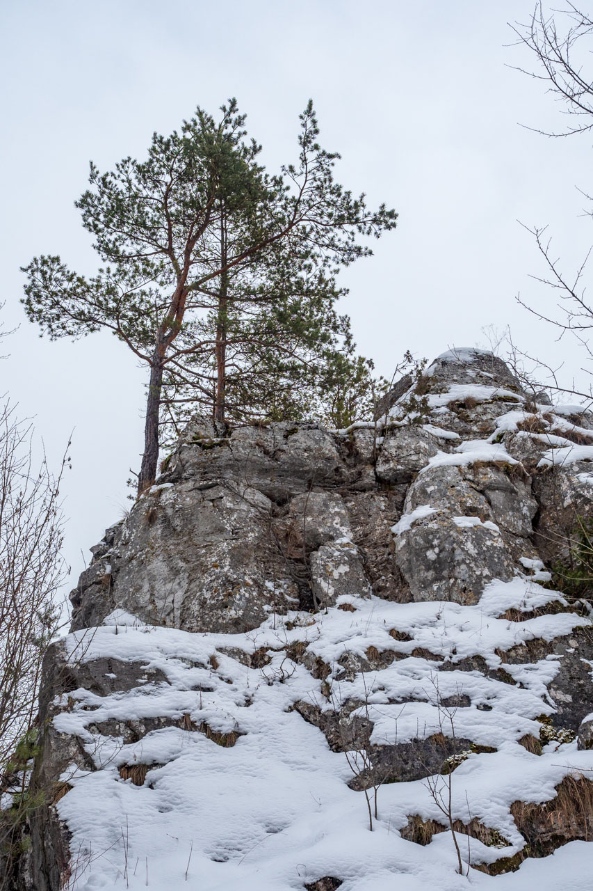 Dreveník a Spišský hrad zo Žehry (Levočské vrchy)