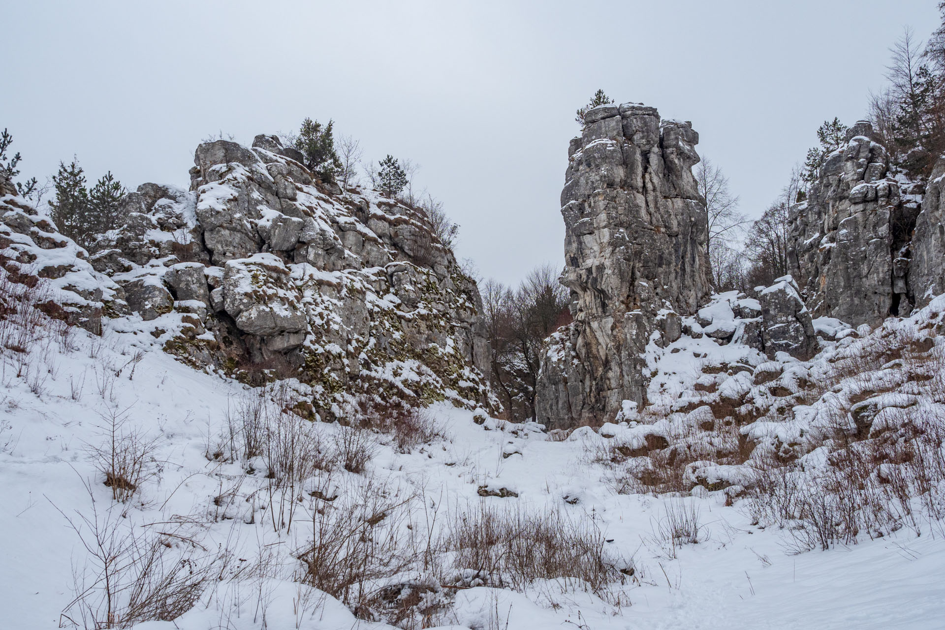 Dreveník a Spišský hrad zo Žehry (Levočské vrchy)