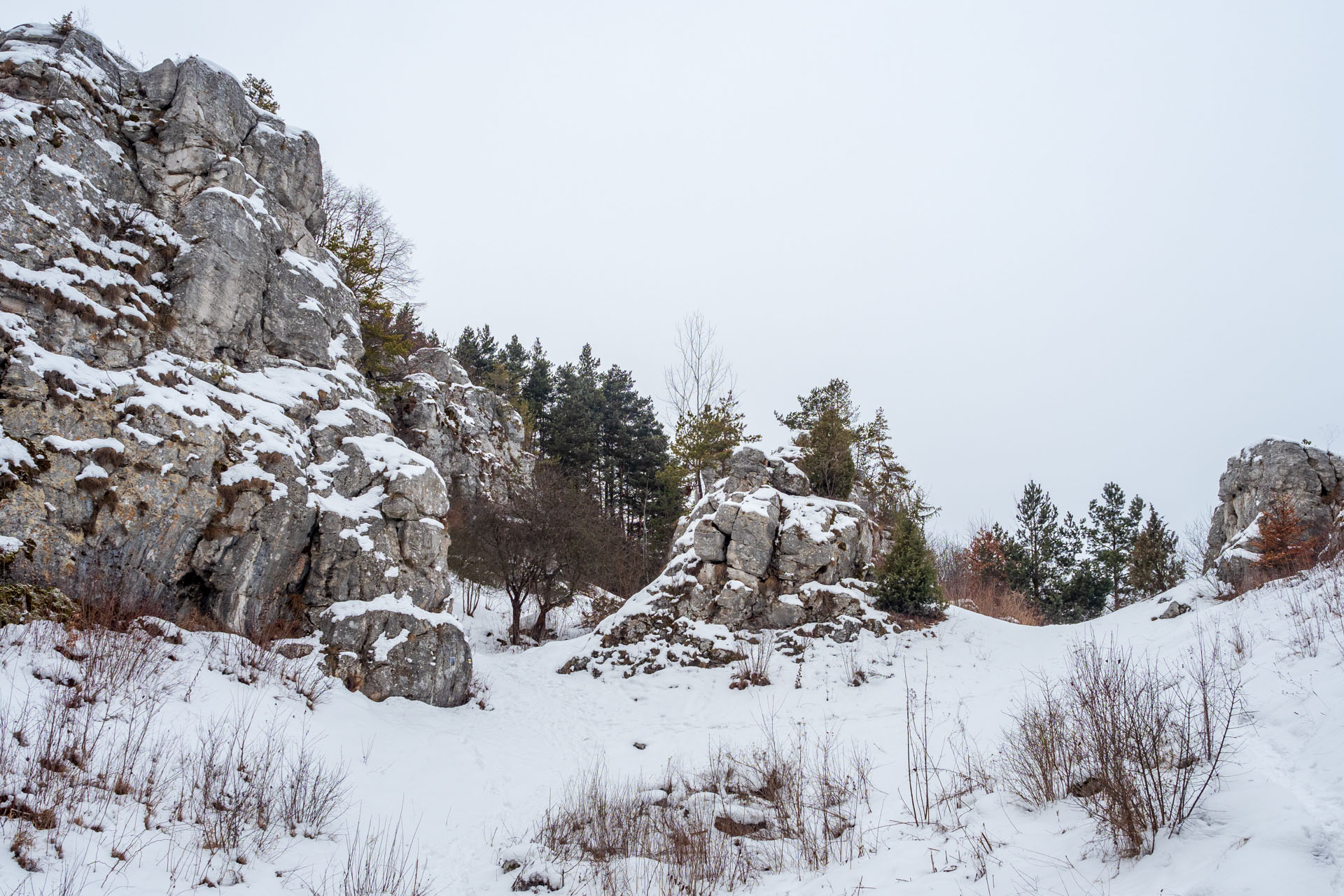 Dreveník a Spišský hrad zo Žehry (Levočské vrchy)