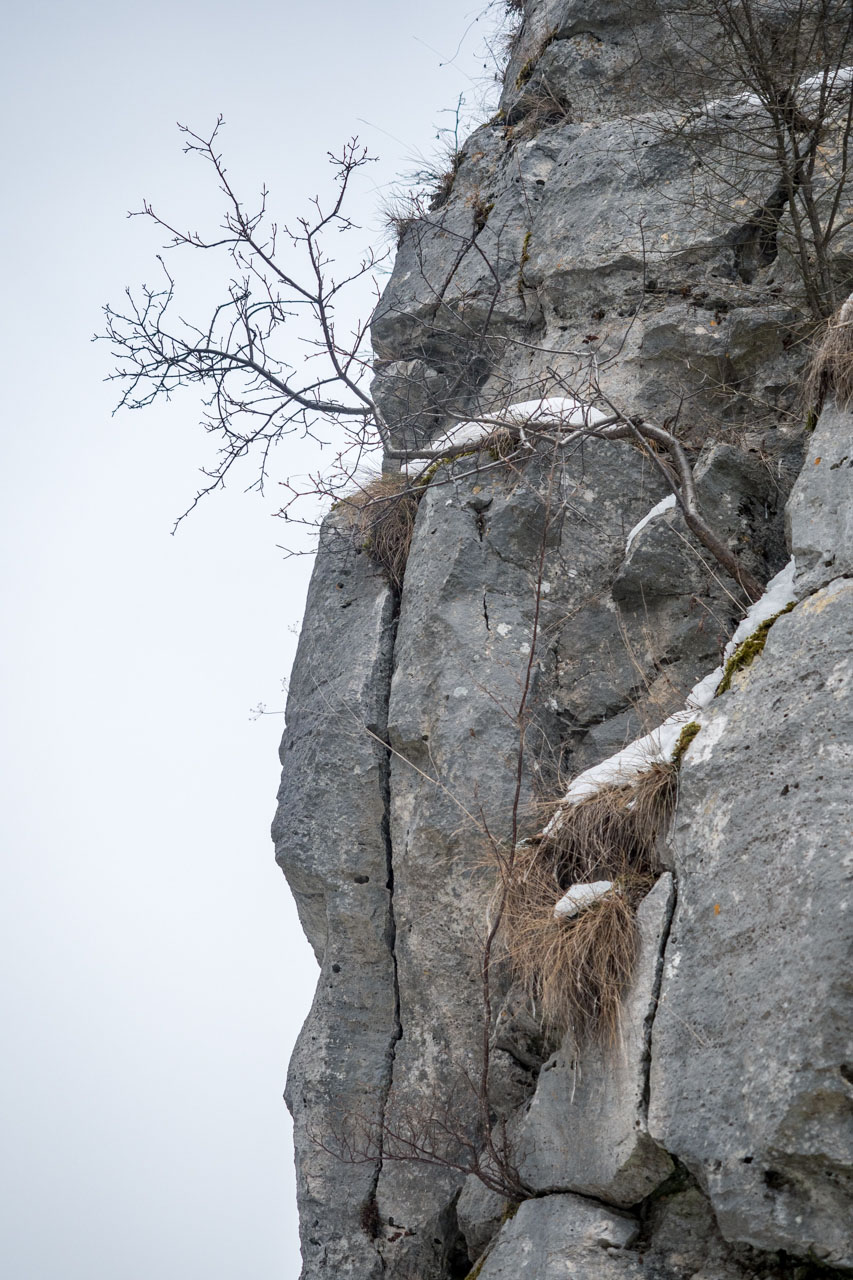 Dreveník a Spišský hrad zo Žehry (Levočské vrchy)