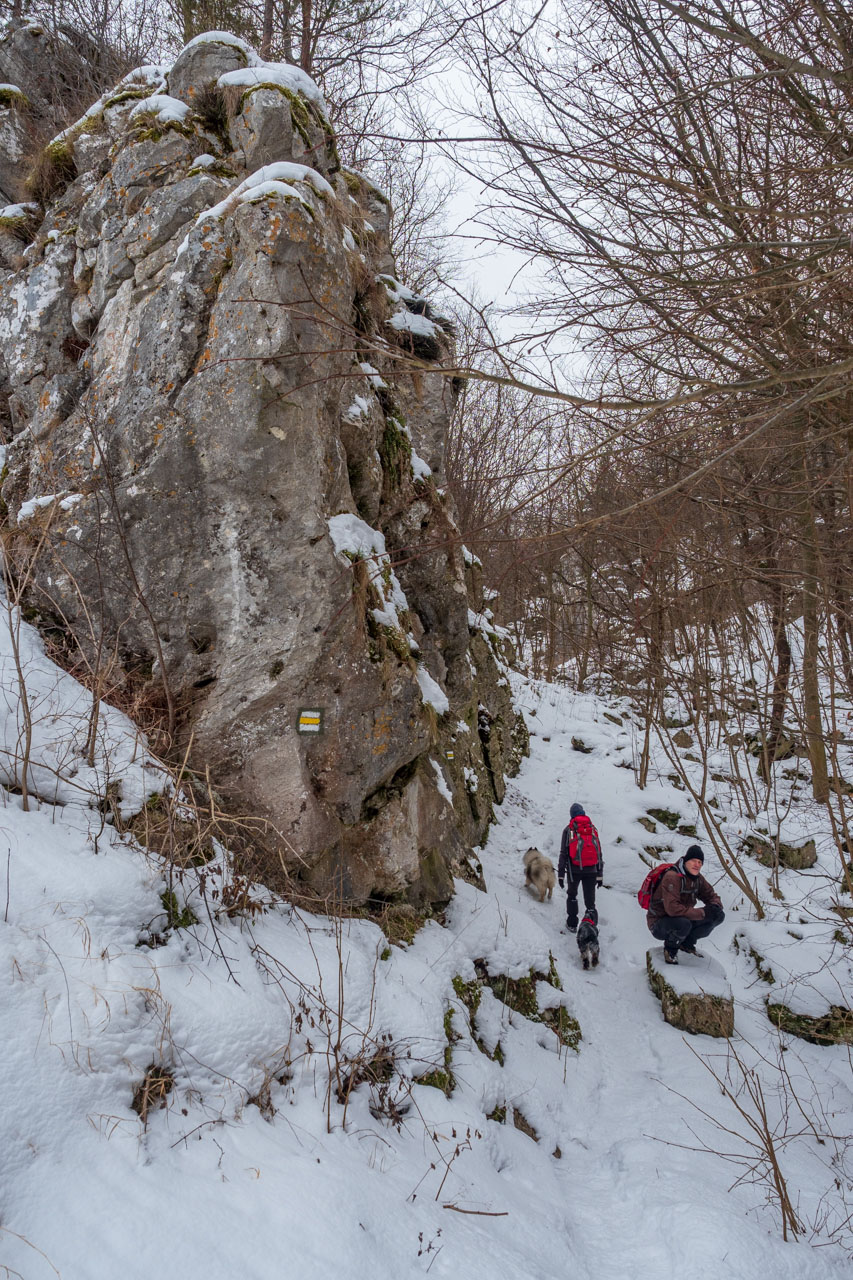 Dreveník a Spišský hrad zo Žehry (Levočské vrchy)