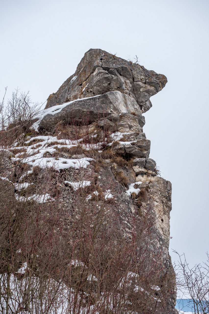 Dreveník a Spišský hrad zo Žehry (Levočské vrchy)