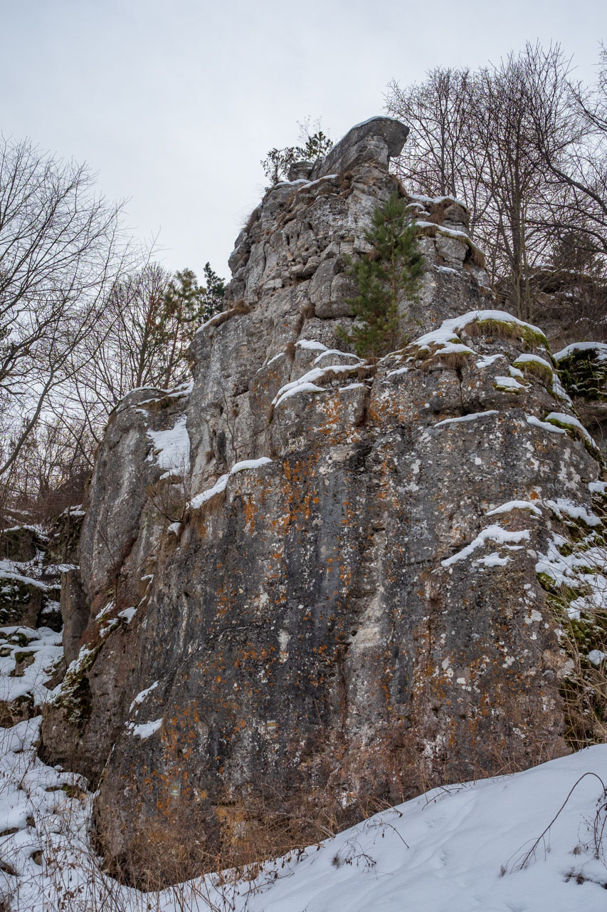 Dreveník a Spišský hrad zo Žehry (Levočské vrchy)