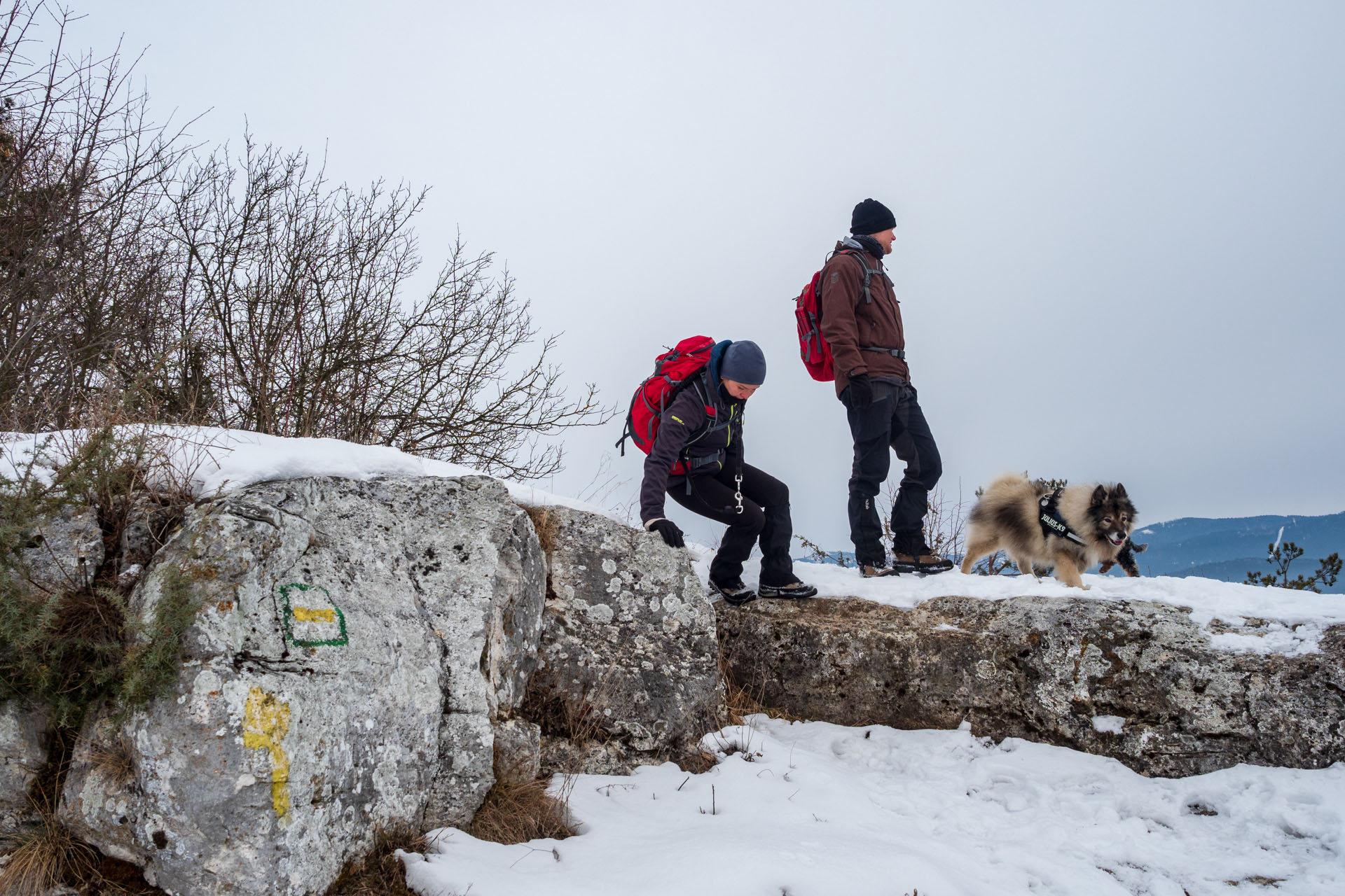 Dreveník a Spišský hrad zo Žehry (Levočské vrchy)