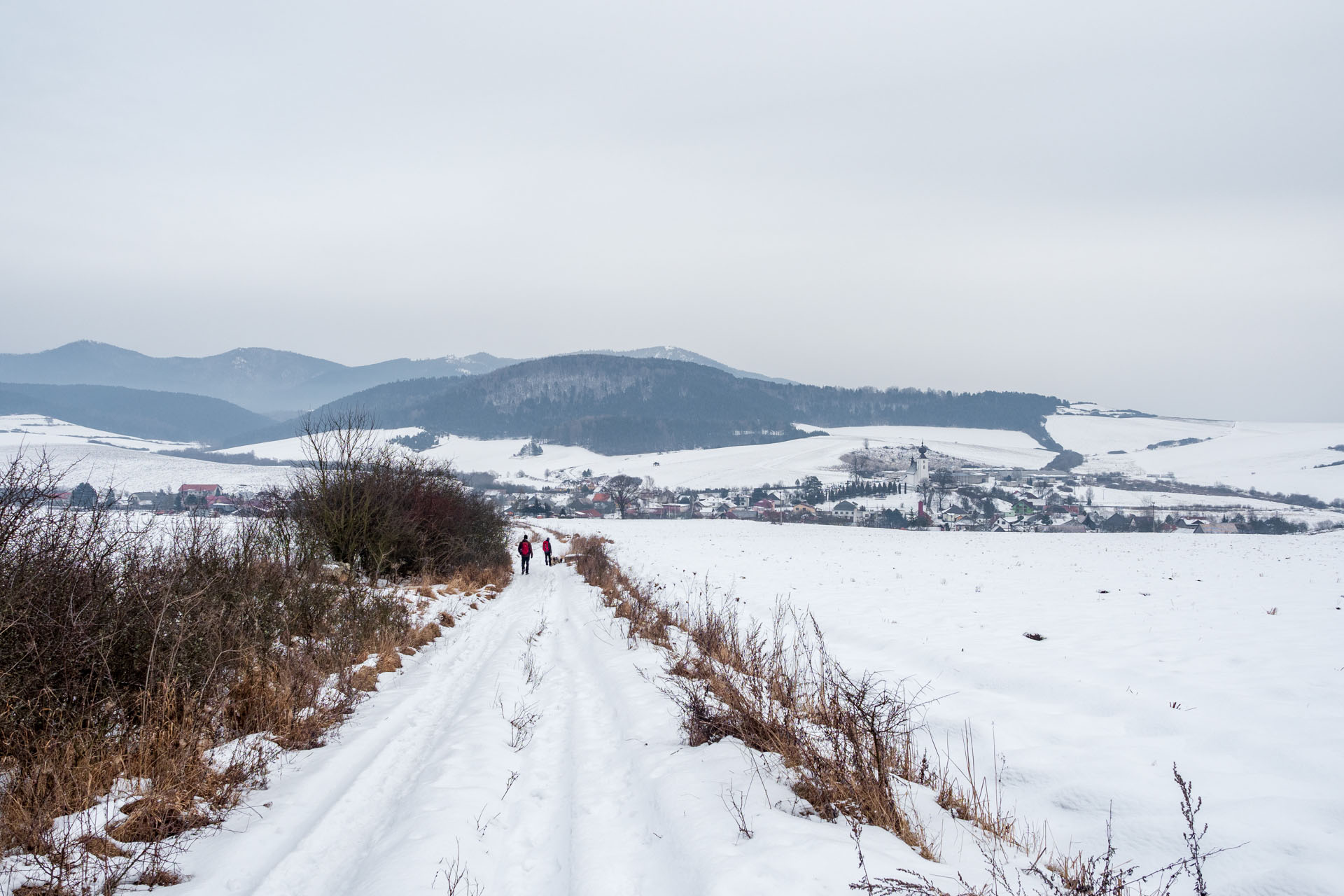 Dreveník a Spišský hrad zo Žehry (Levočské vrchy)