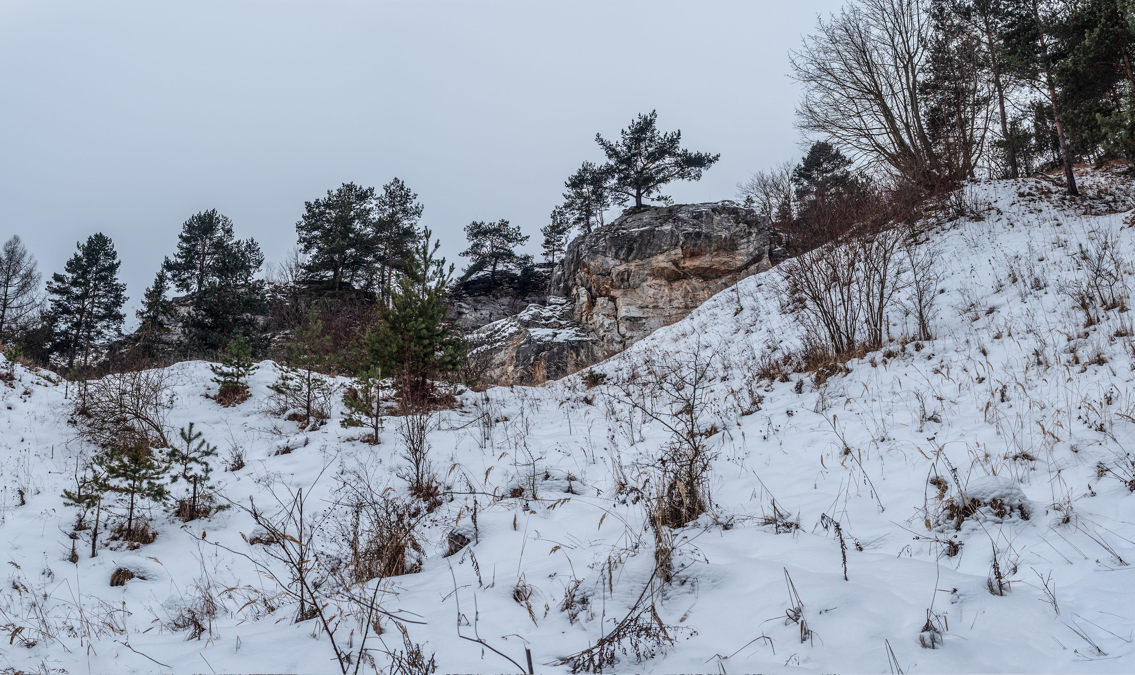 Dreveník a Spišský hrad zo Žehry (Levočské vrchy)