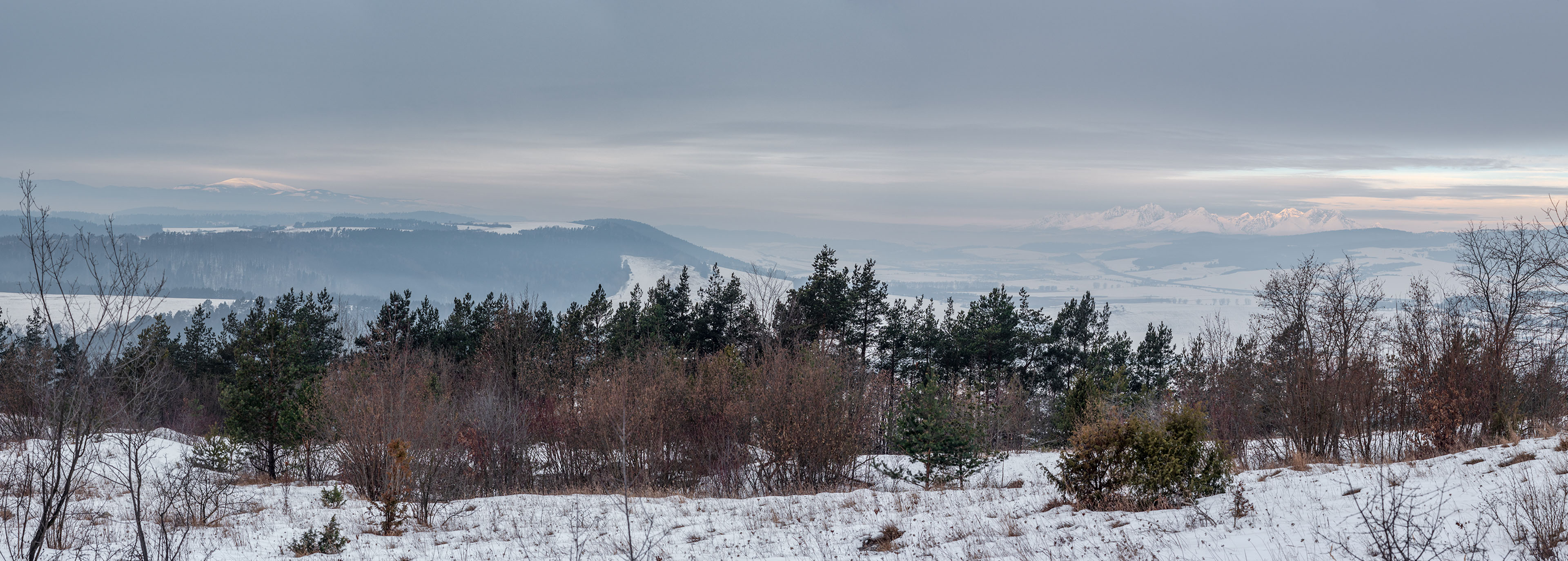 Dreveník a Spišský hrad zo Žehry (Levočské vrchy)