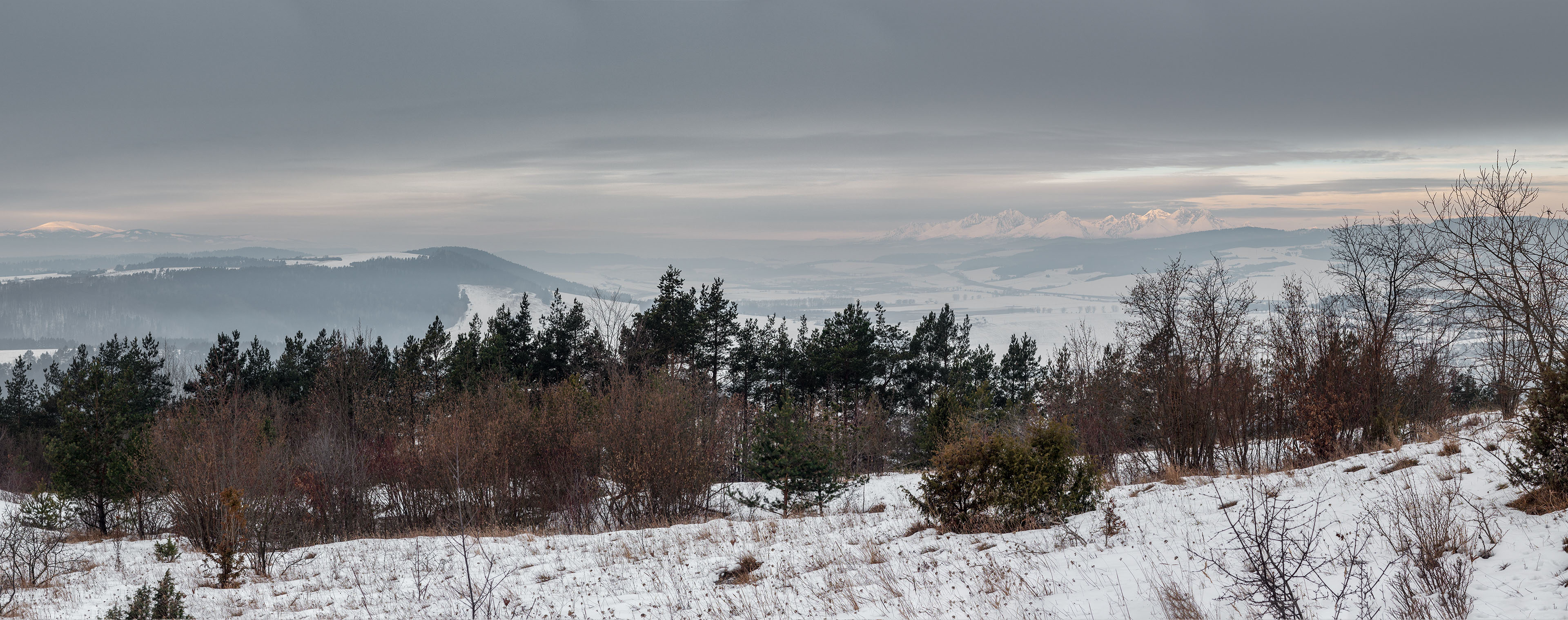 Dreveník a Spišský hrad zo Žehry (Levočské vrchy)