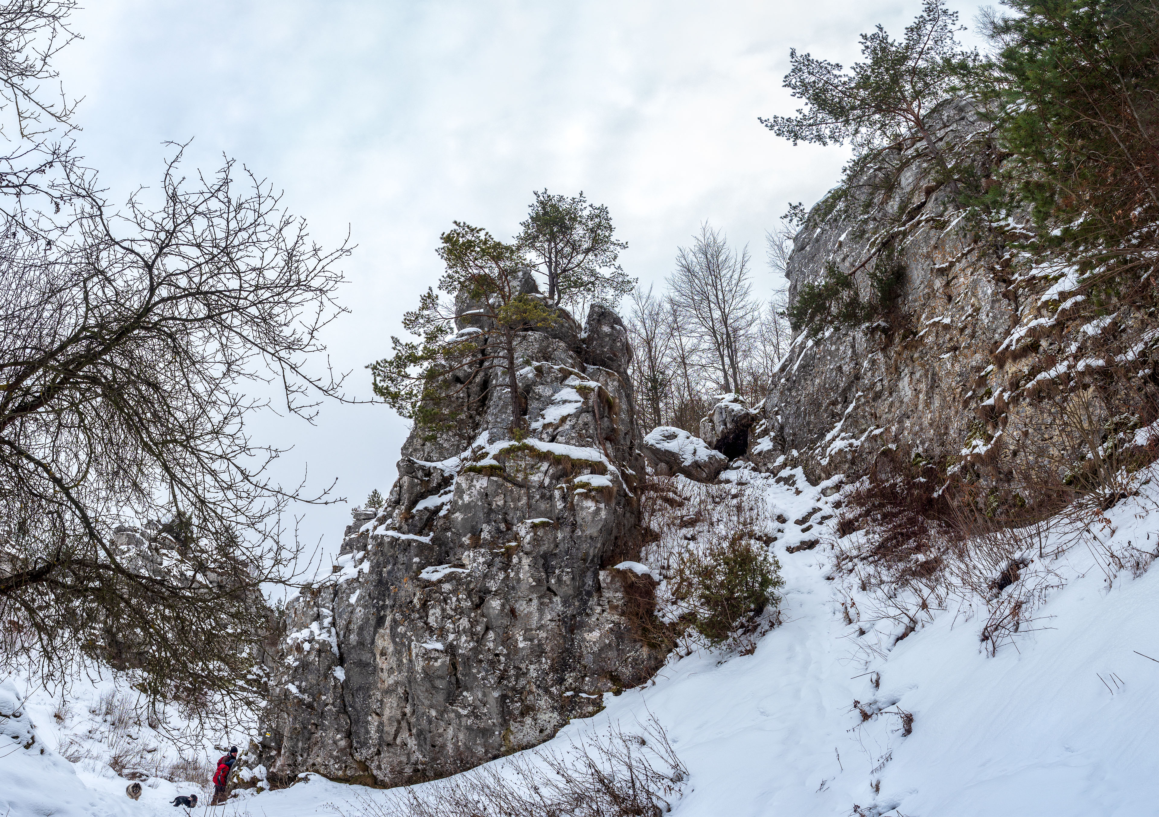 Dreveník a Spišský hrad zo Žehry (Levočské vrchy)