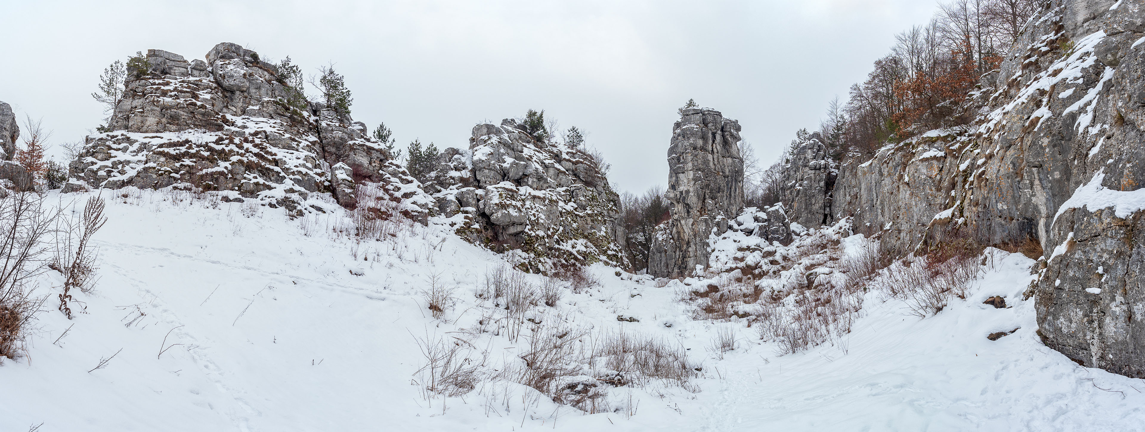 Dreveník a Spišský hrad zo Žehry (Levočské vrchy)