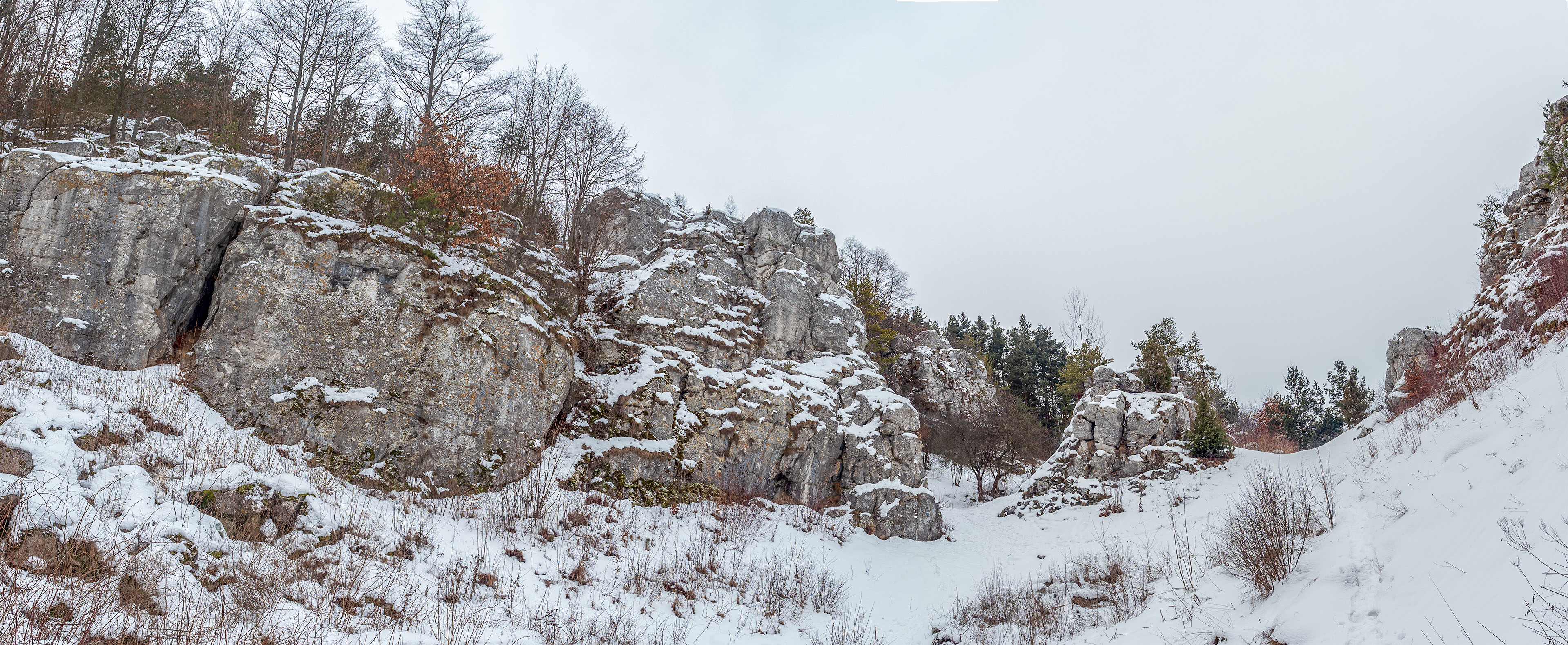 Dreveník a Spišský hrad zo Žehry (Levočské vrchy)