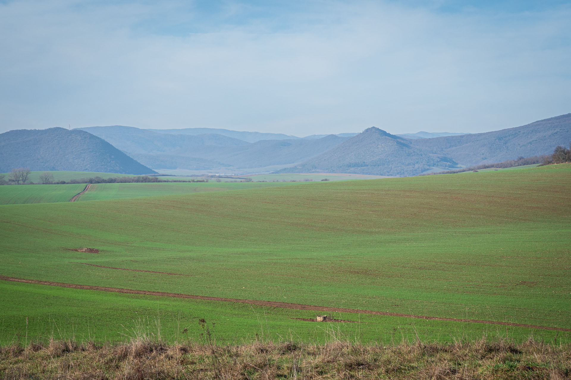 Drieňova studňa z Plešivca (Slovenský kras)