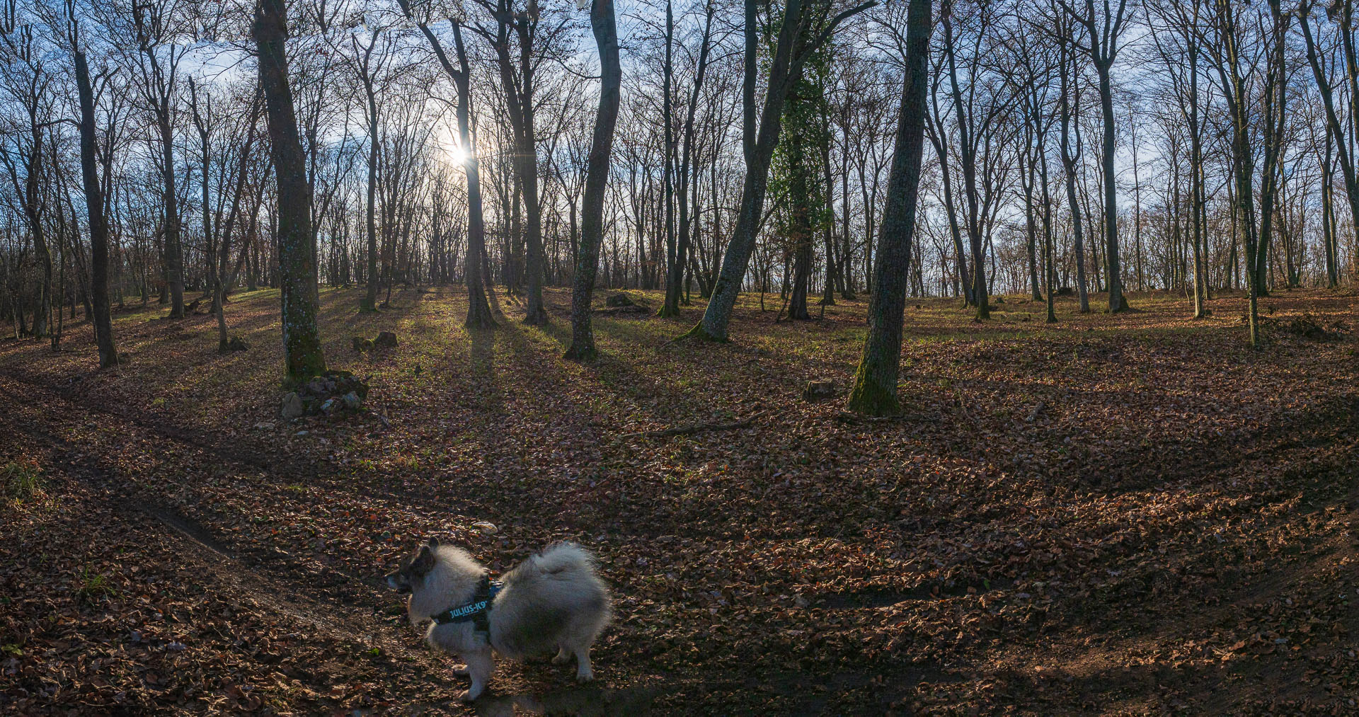 Drieňova studňa z Plešivca (Slovenský kras)