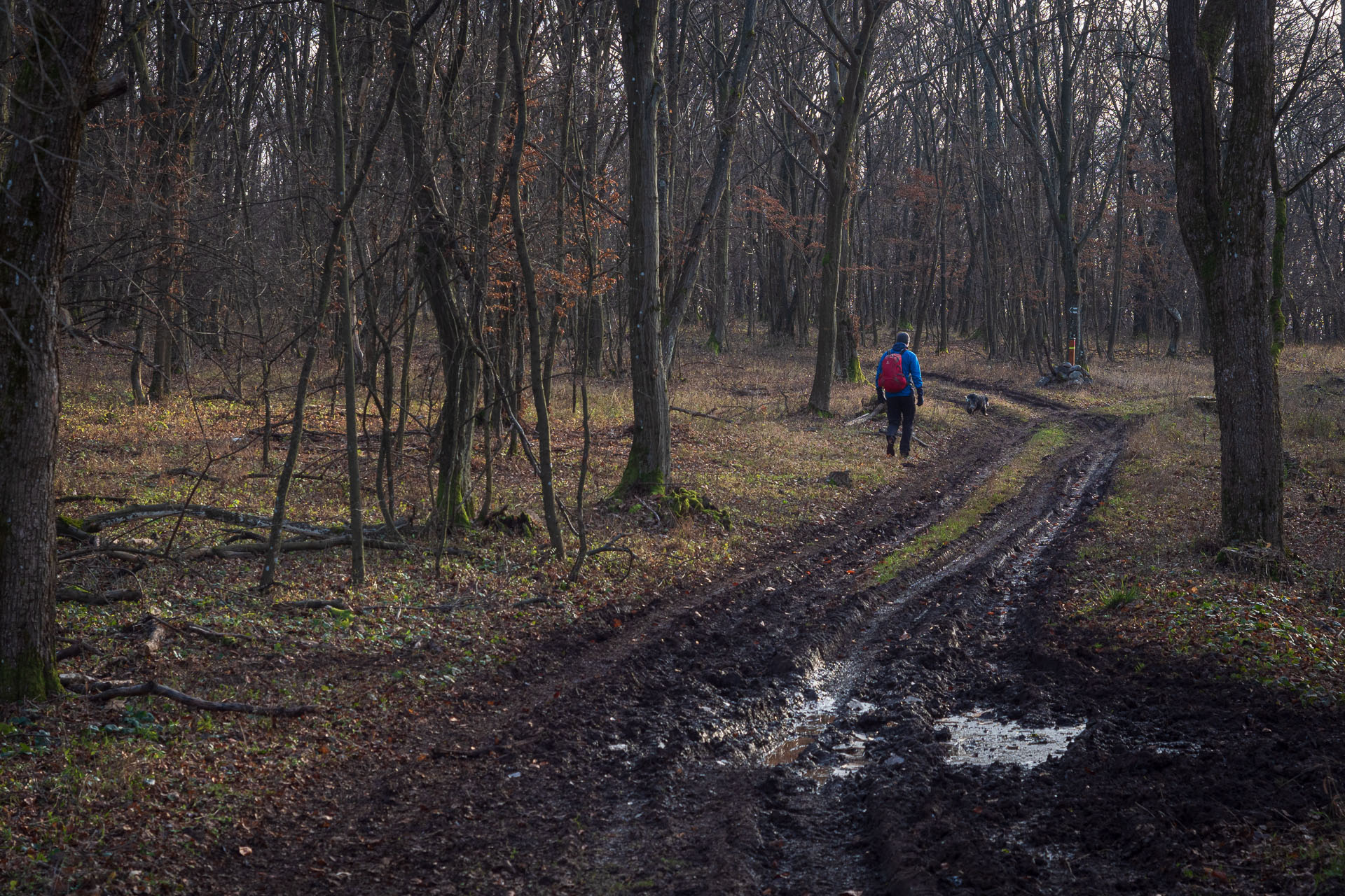 Drieňova studňa z Plešivca (Slovenský kras)