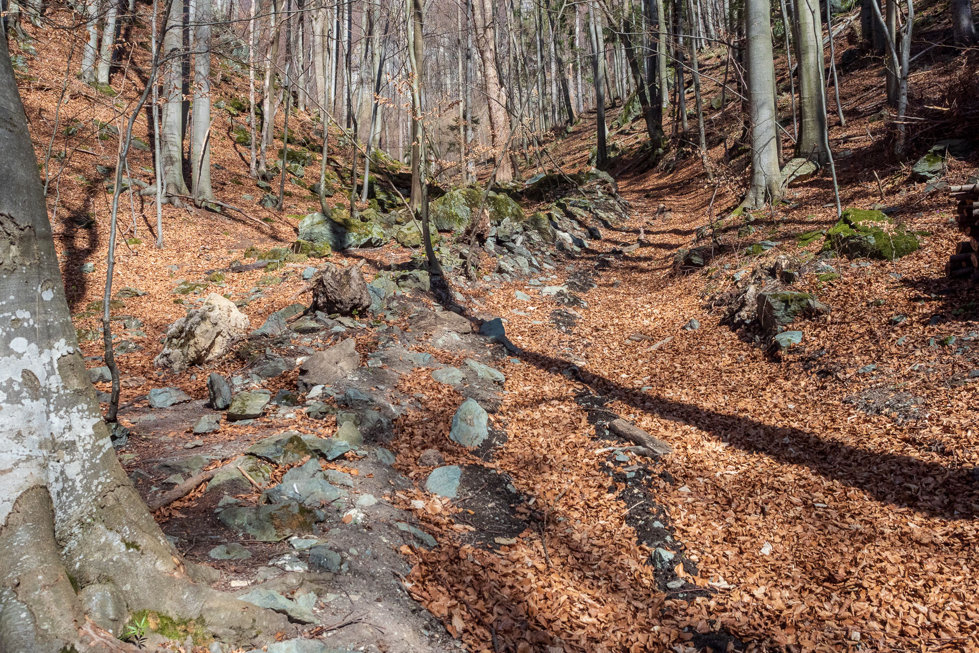 Folkmarská skala z Kojšova (Volovské vrchy)