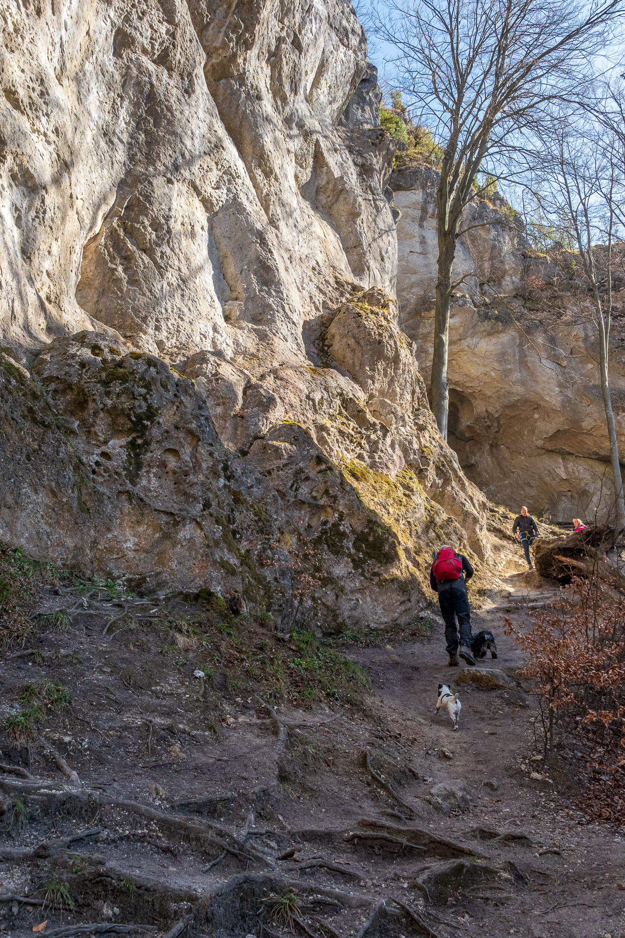 Folkmarská skala z Kojšova (Volovské vrchy)